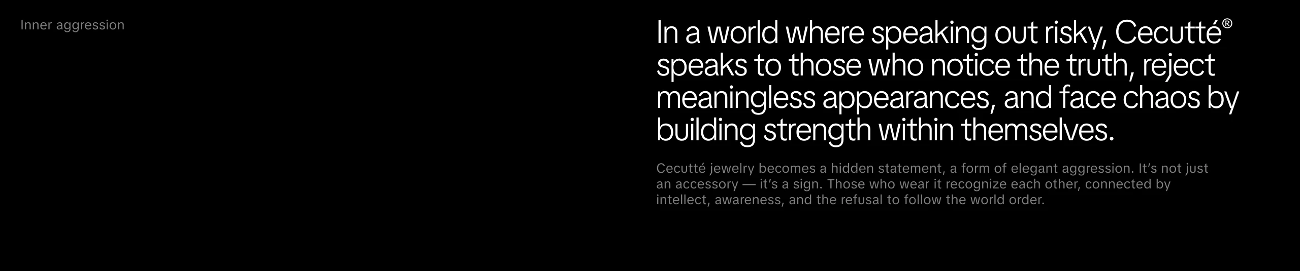 Cecutté — Fashion Jewelry Branding, Logo, Sing, Website — Изображение №2 — Брендинг на Dprofile