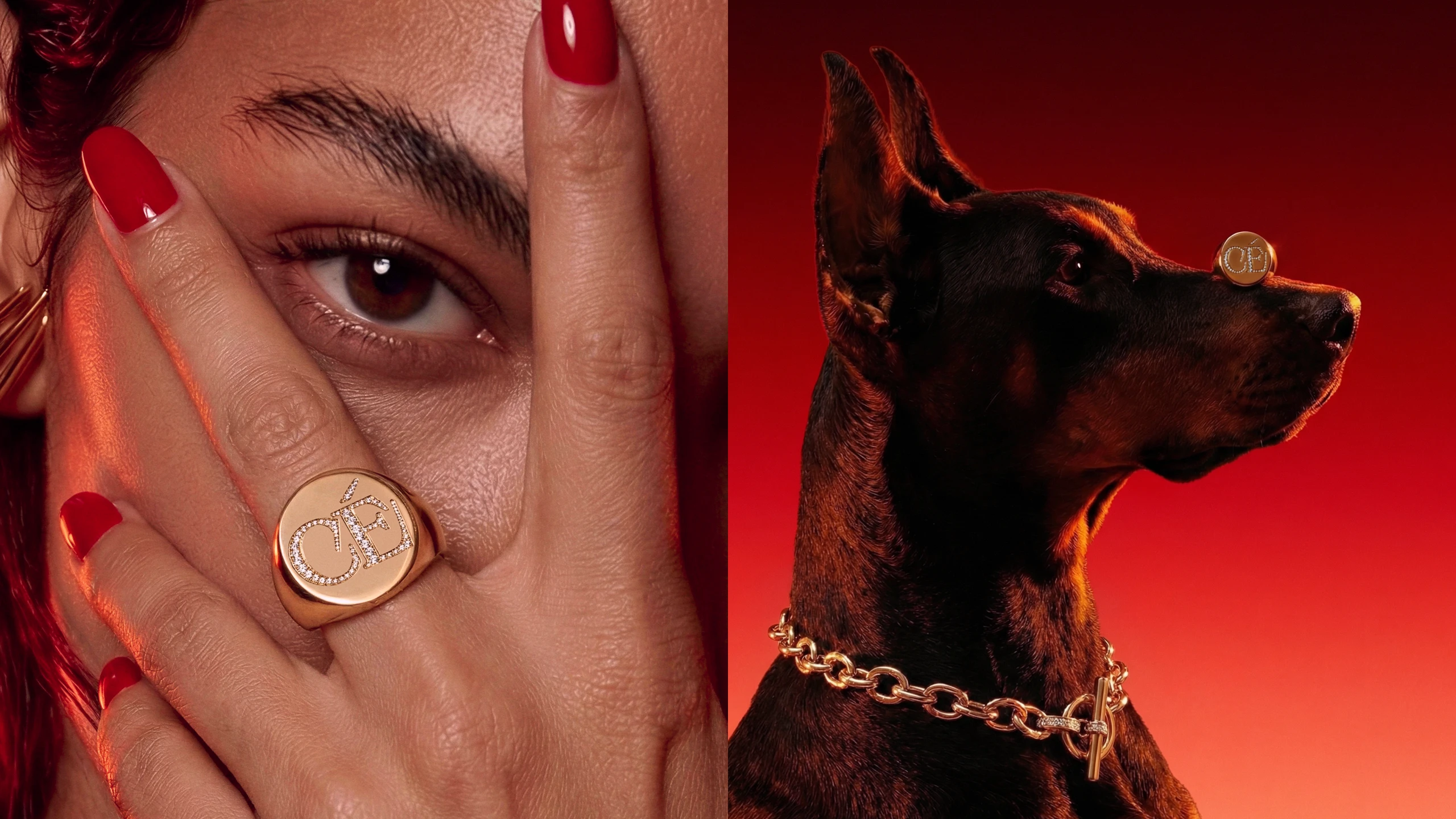 Cecutté — Fashion Jewelry Branding, Logo, Sing, Website — Изображение №14 — Брендинг на Dprofile