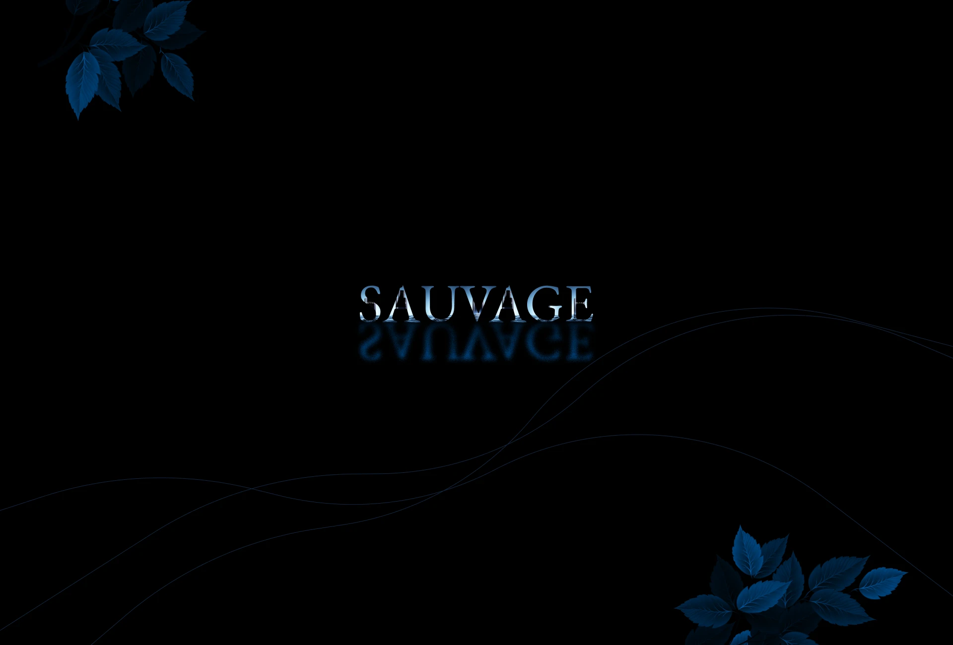 Dior Sauvage (Concept) — Изображение №1 — Интерфейсы на Dprofile