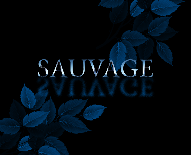 Dior Sauvage (Concept) — Интерфейсы на Dprofile