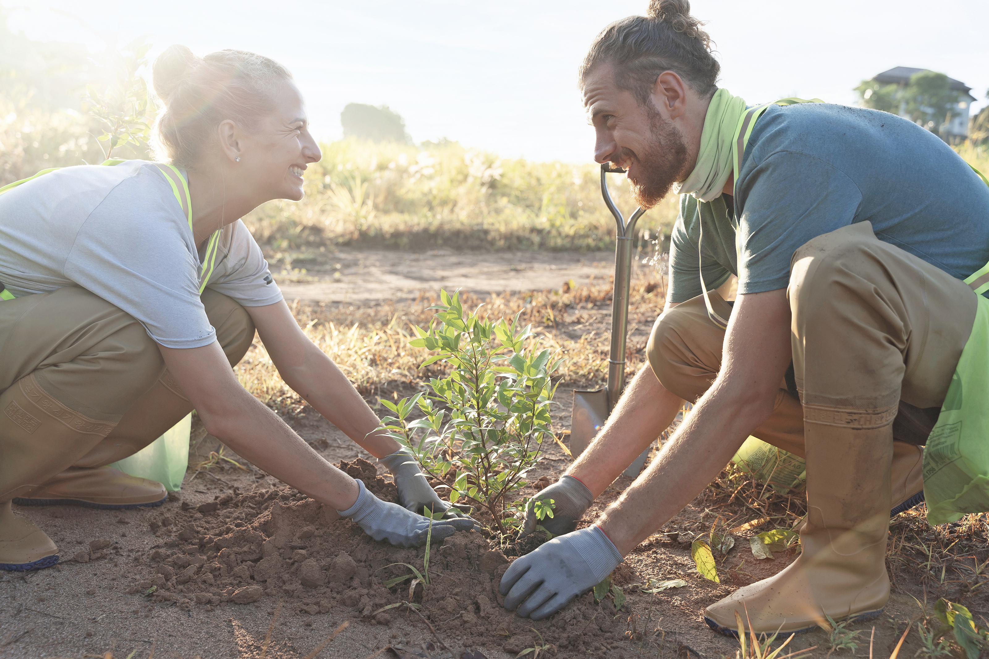 Посади лес — Изображение №14 — Брендинг, Графика на Dprofile