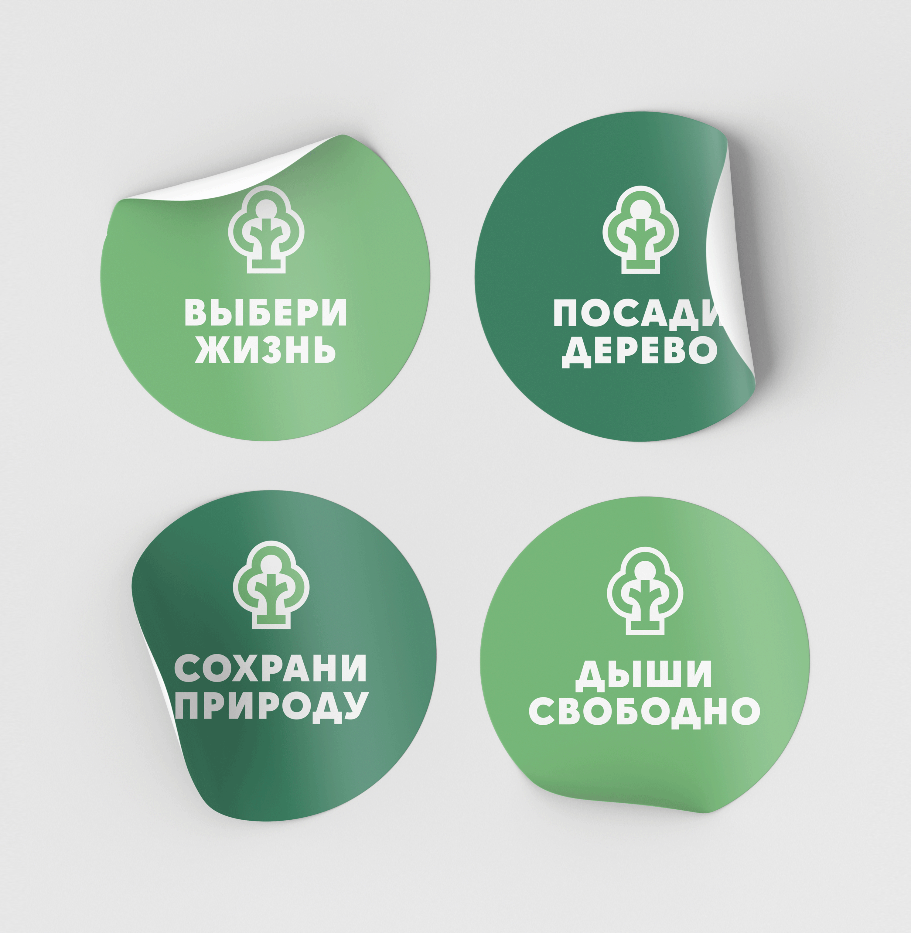 Посади лес — Изображение №10 — Брендинг, Графика на Dprofile