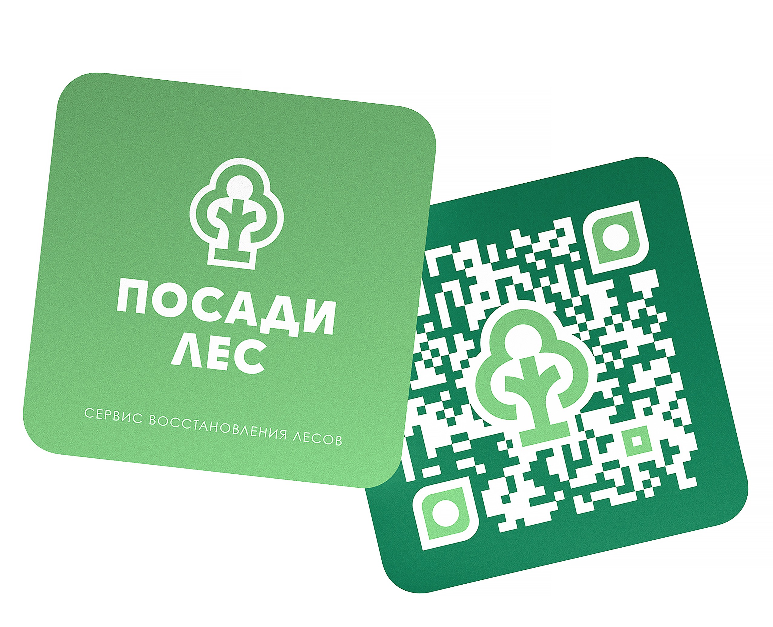 Посади лес — Брендинг, Графика на Dprofile
