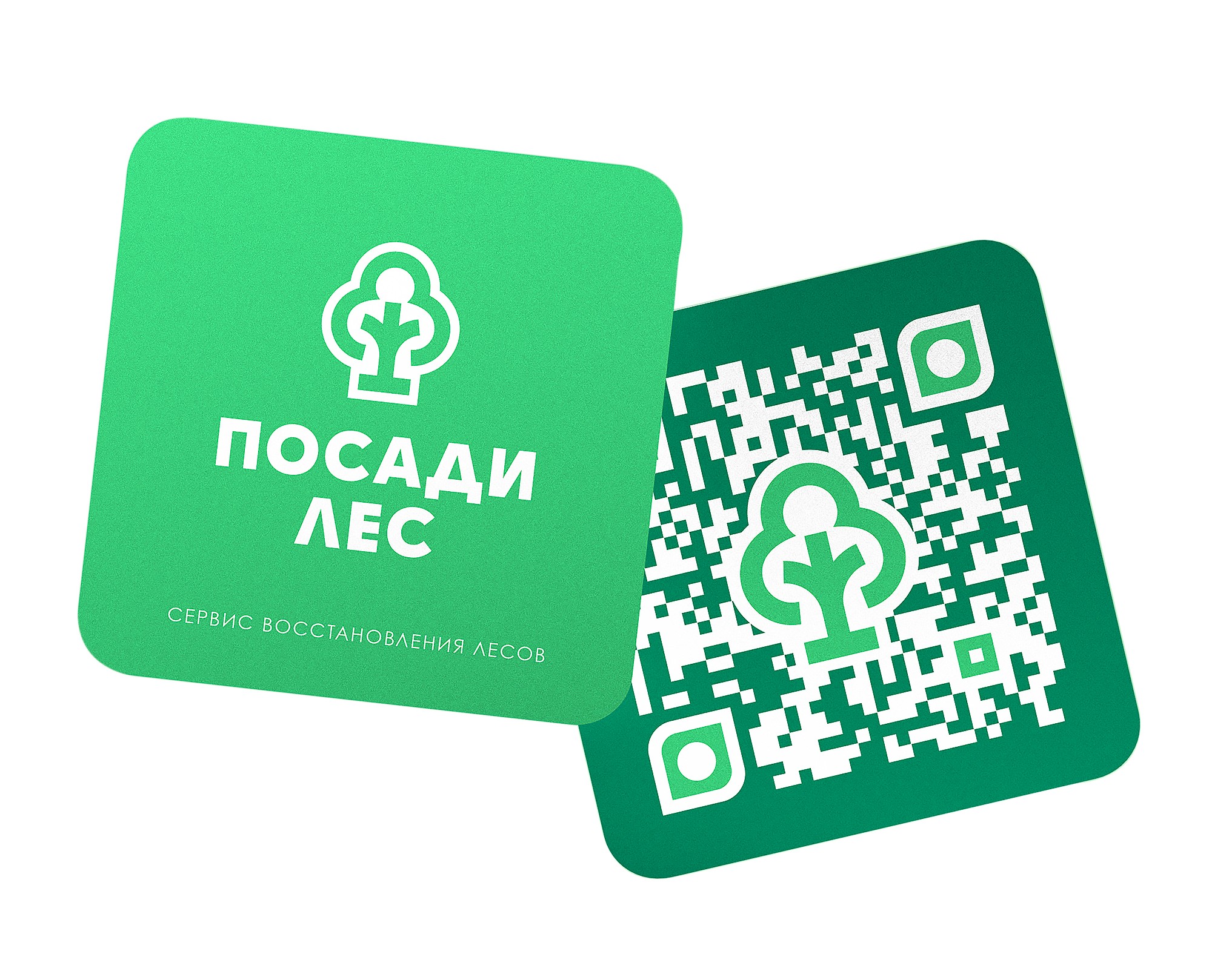 Посади лес — Брендинг, Графика на Dprofile