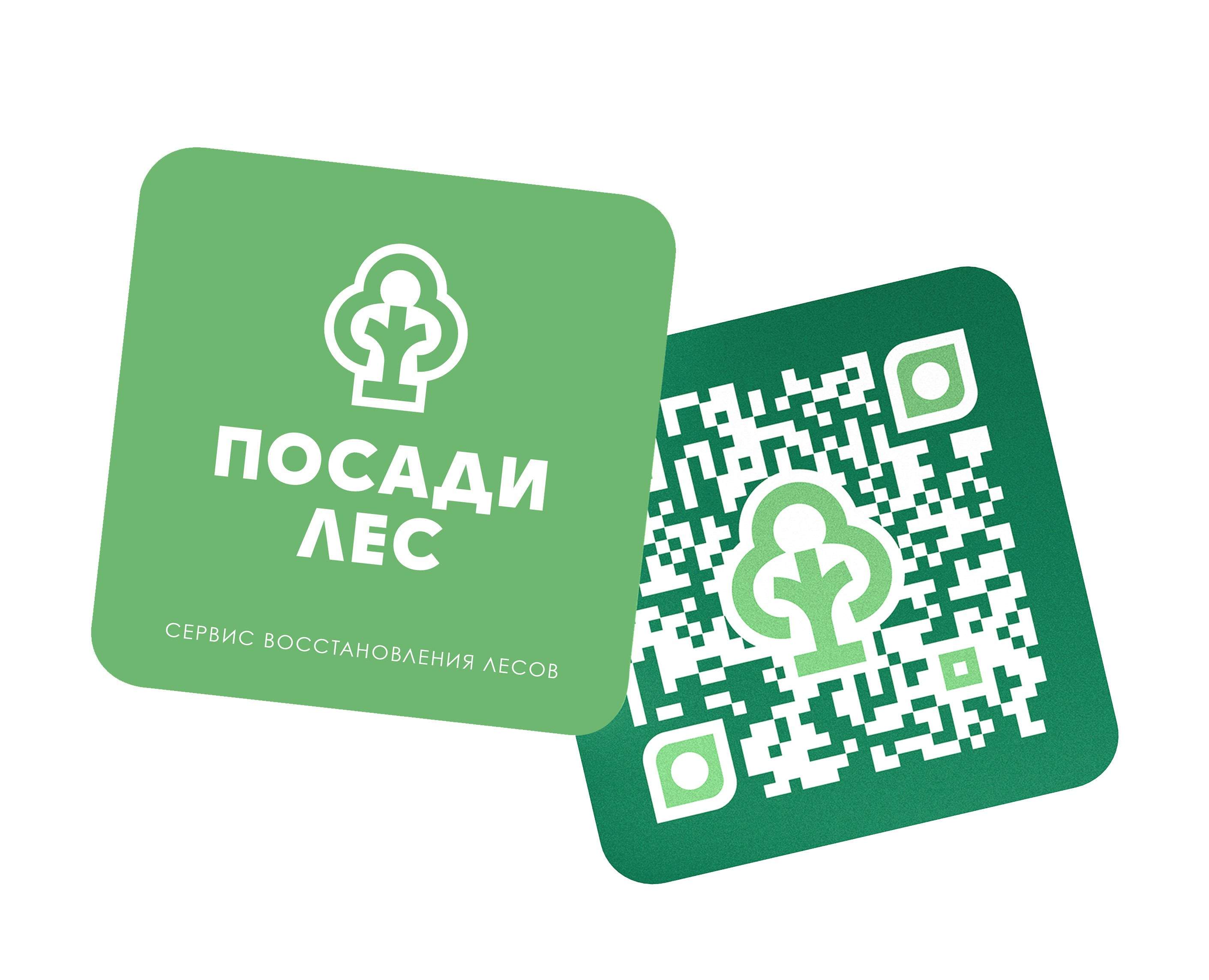 Посади лес — Брендинг, Графика на Dprofile