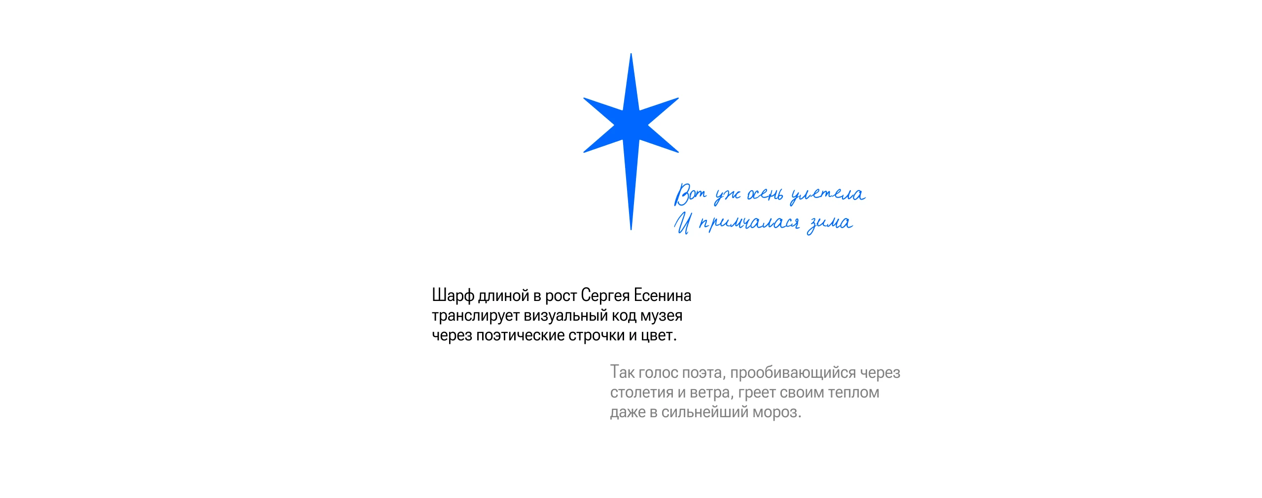 Музей Есенина | Коллекция мерча — Изображение №11 — Брендинг на Dprofile