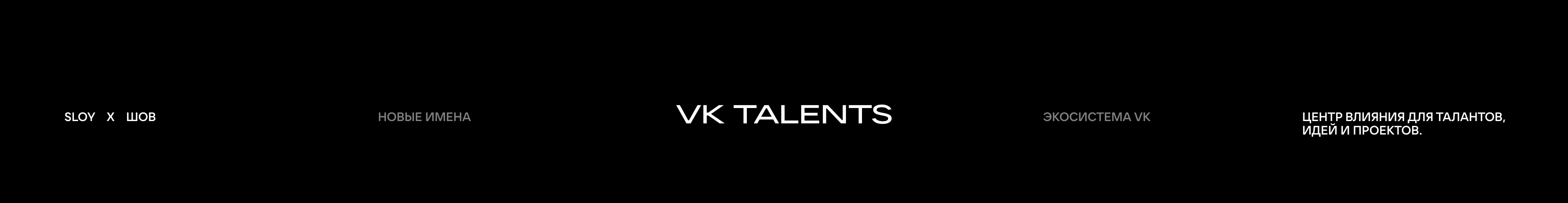 VK TALENTS — Изображение №2 — Брендинг на Dprofile