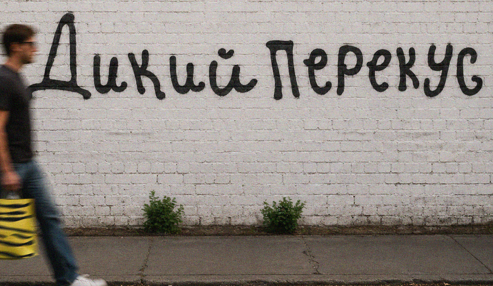 ДИКИЙ ПЕРЕКУС — Изображение №12 — Брендинг, Графика на Dprofile