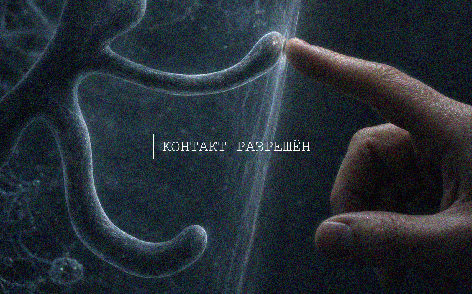 БУКВАЛИА для БКВЧ — Изображение №12 — Графика, Нейро на Dprofile