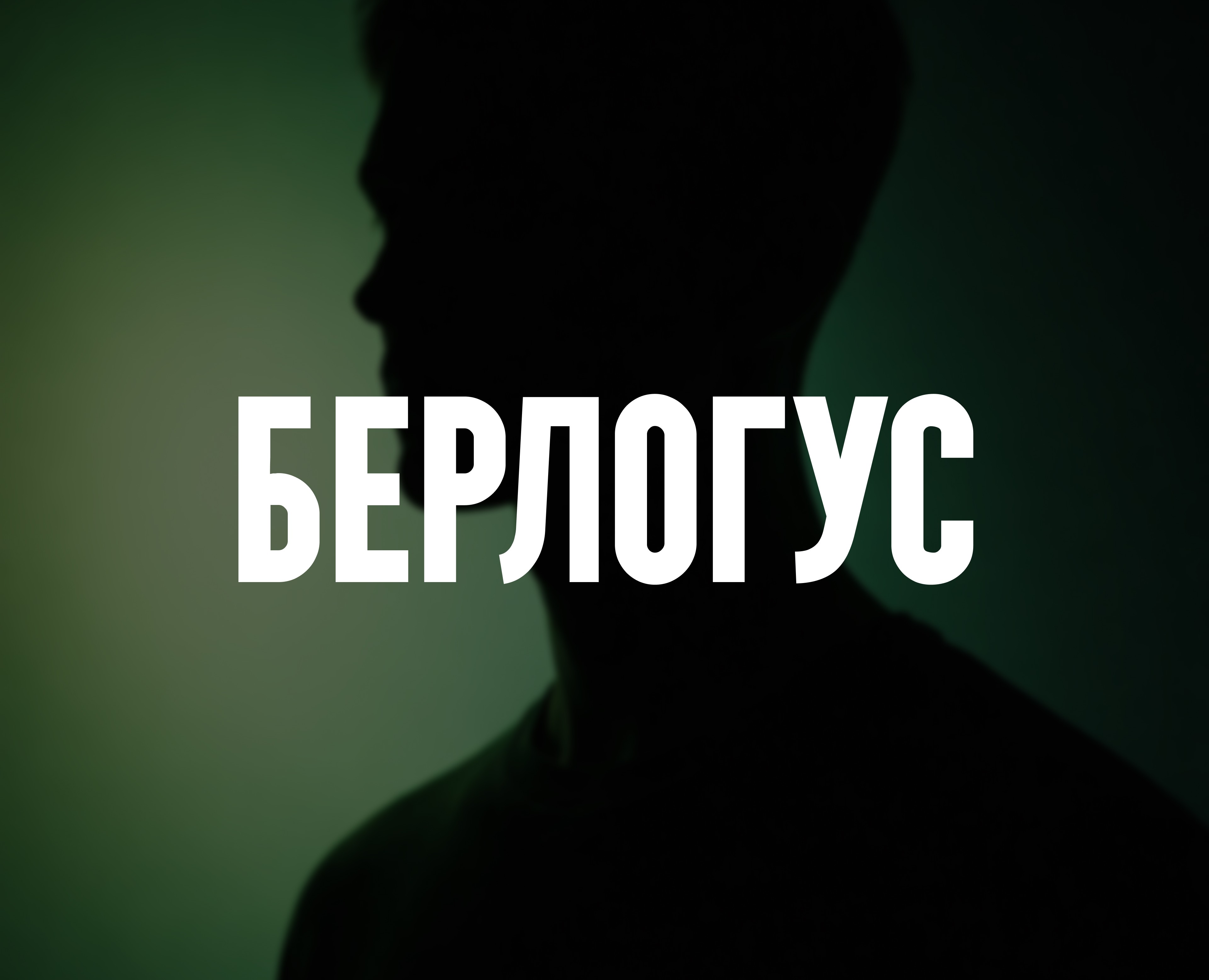 БЕРЛОГУС - строительная компания — Интерфейсы, Брендинг на Dprofile