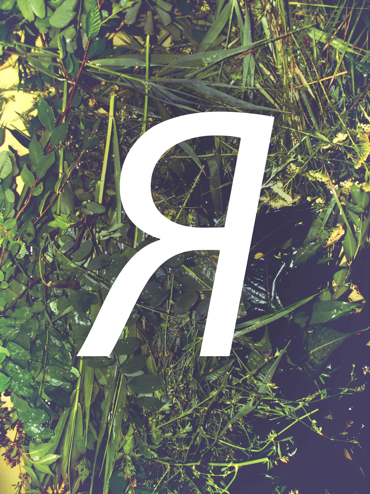 Буква "Я" для проекта  AWESOME LETTER ON THE T-SHIRT — Изображение №2 — Брендинг, Графика на Dprofile