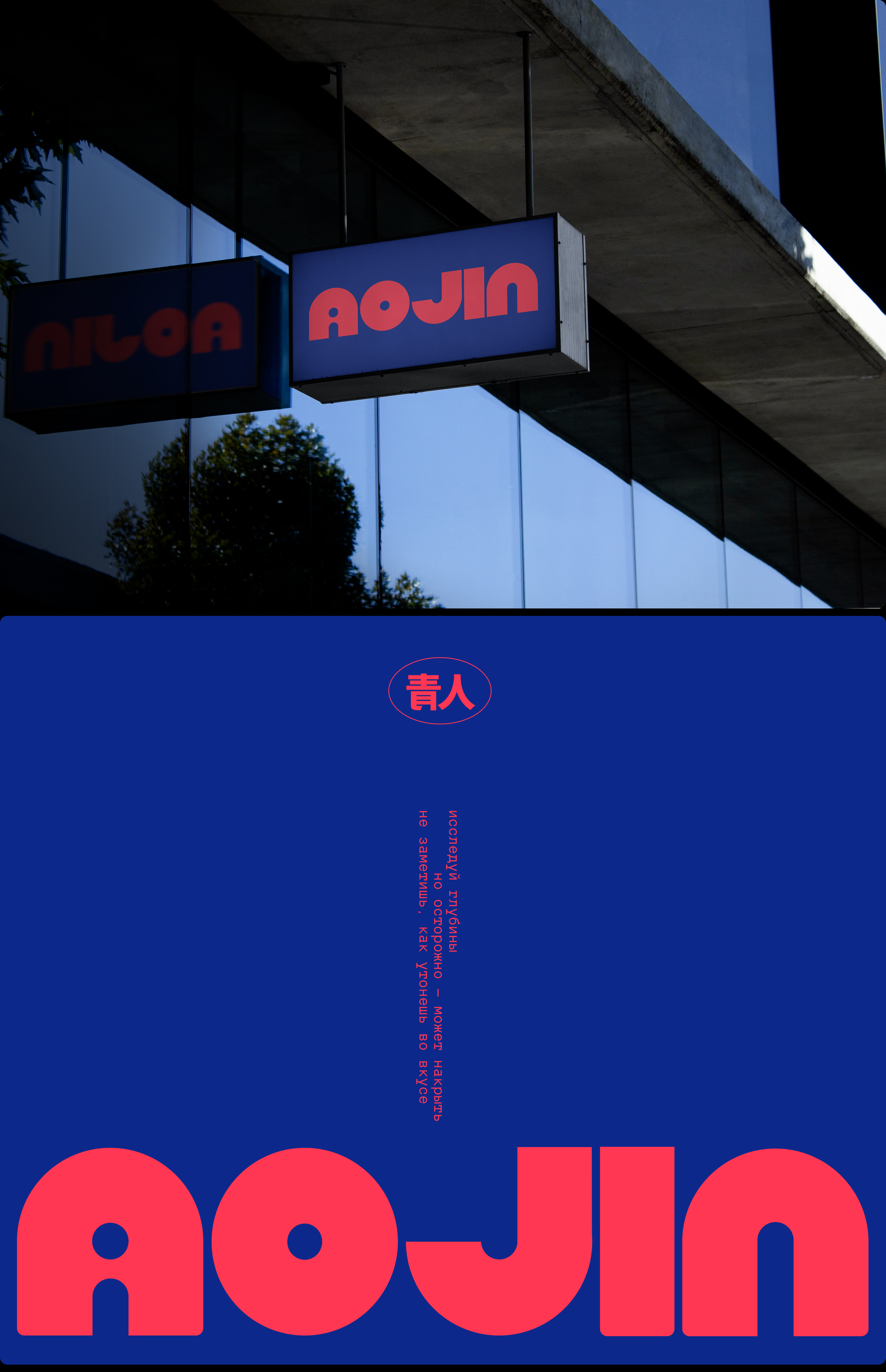 Aojin — Изображение №13 — Брендинг на Dprofile