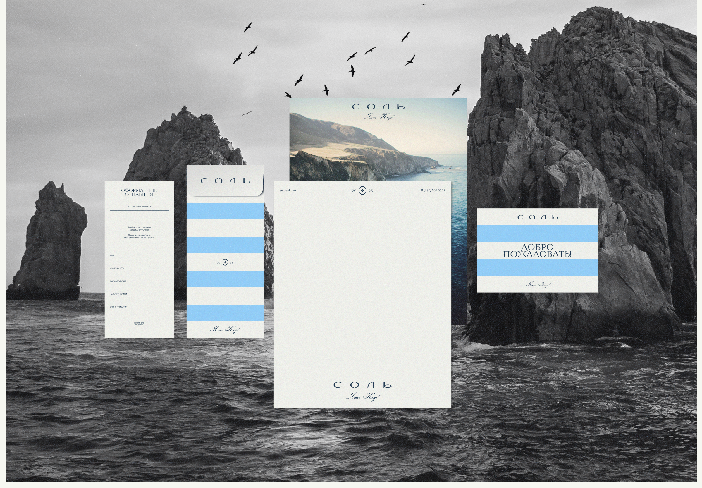 Cоль — Изображение №8 — Интерфейсы, Брендинг на Dprofile
