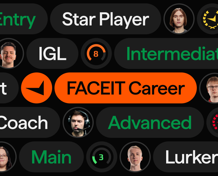 FACEIT Career — Интерфейсы на Dprofile