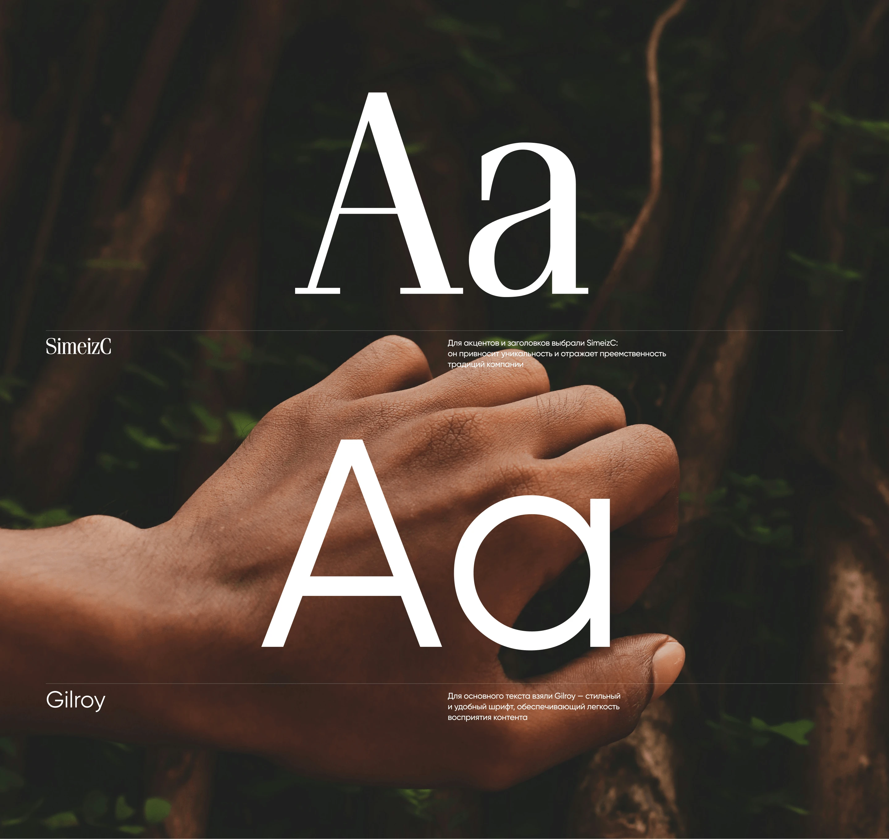 Lenotr Park® — Изображение №7 — Интерфейсы, Брендинг на Dprofile