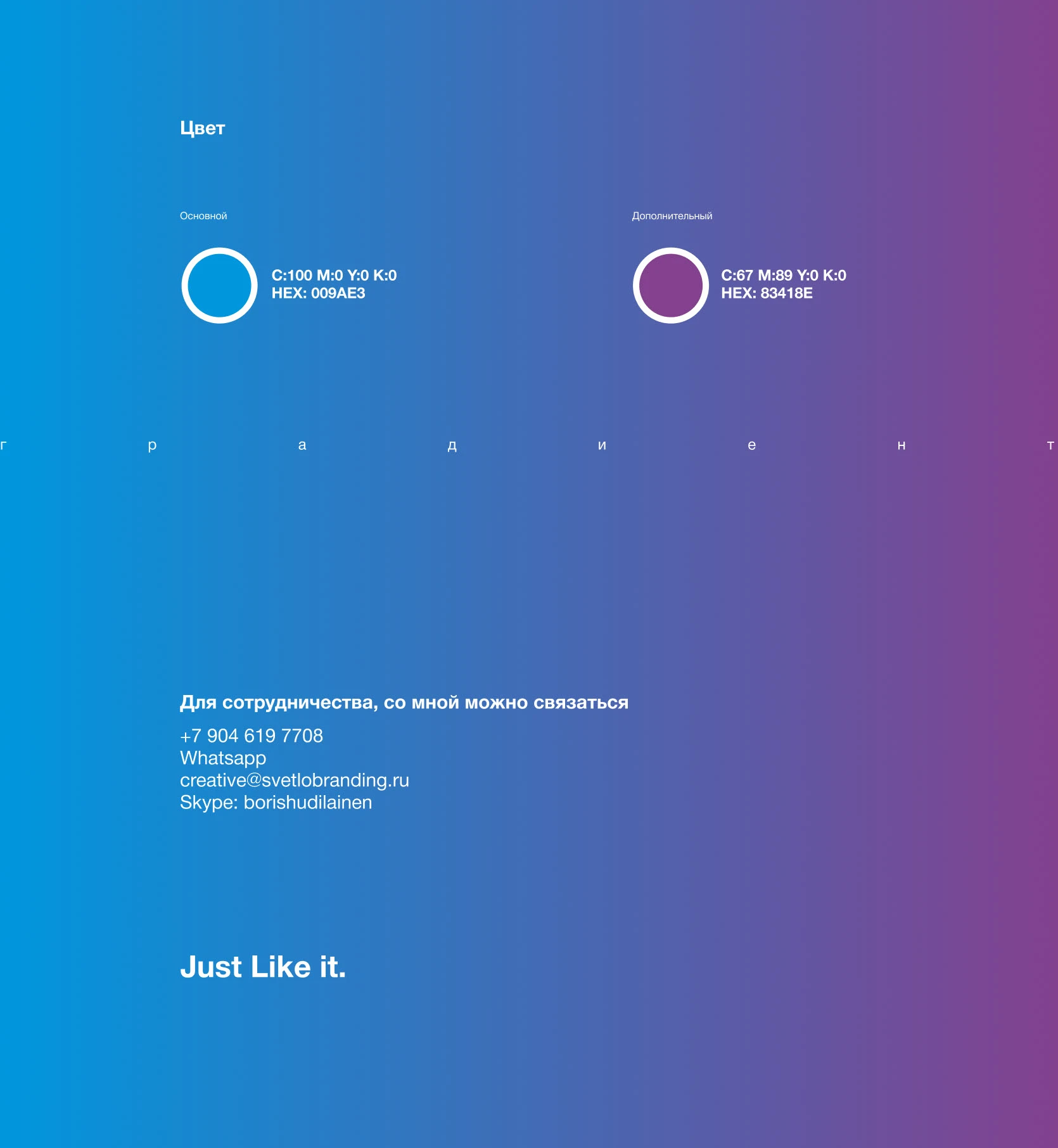 Международный скрипичный фестиваль — Изображение №9 — Брендинг, Графика на Dprofile