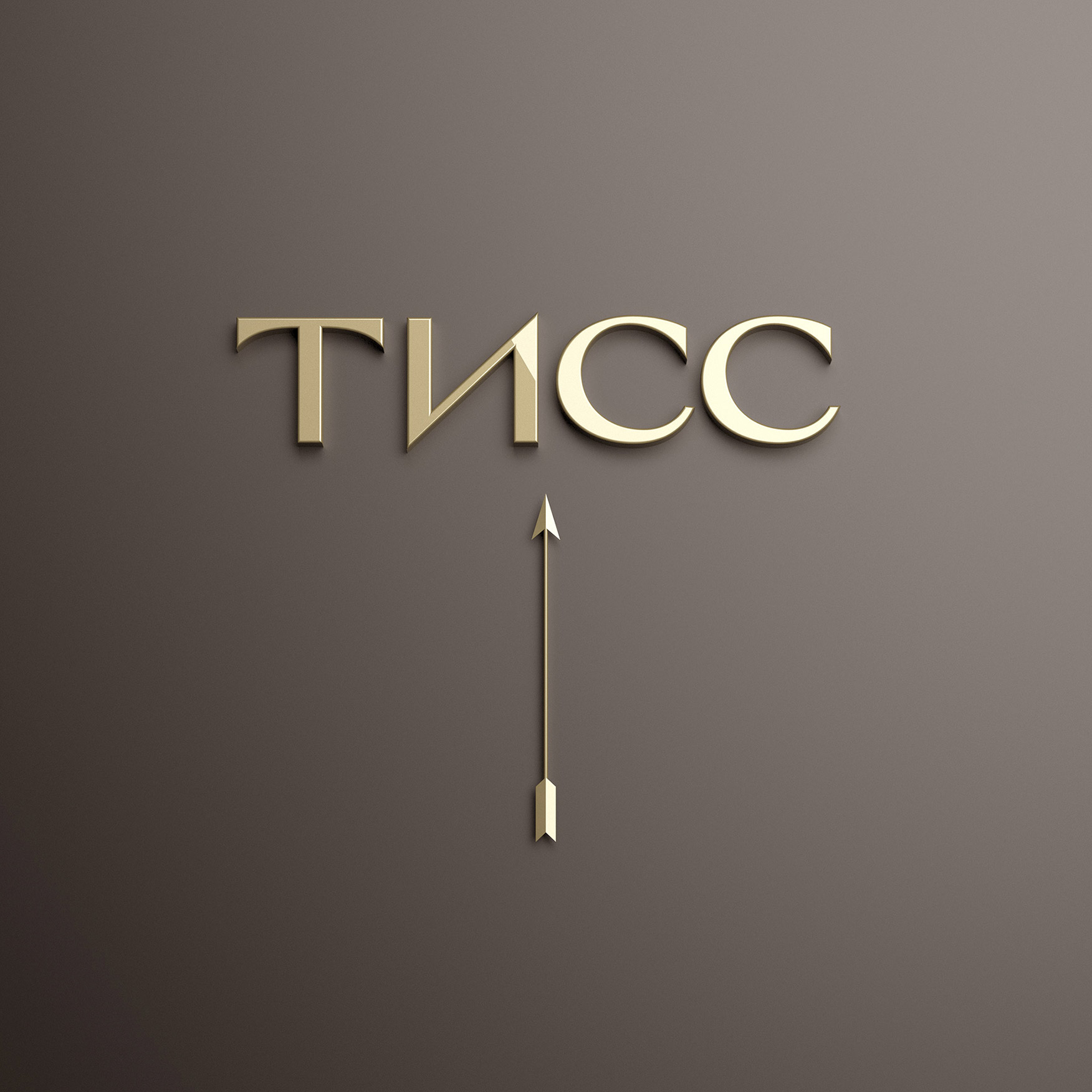 Tiss — Изображение №5 — Брендинг на Dprofile