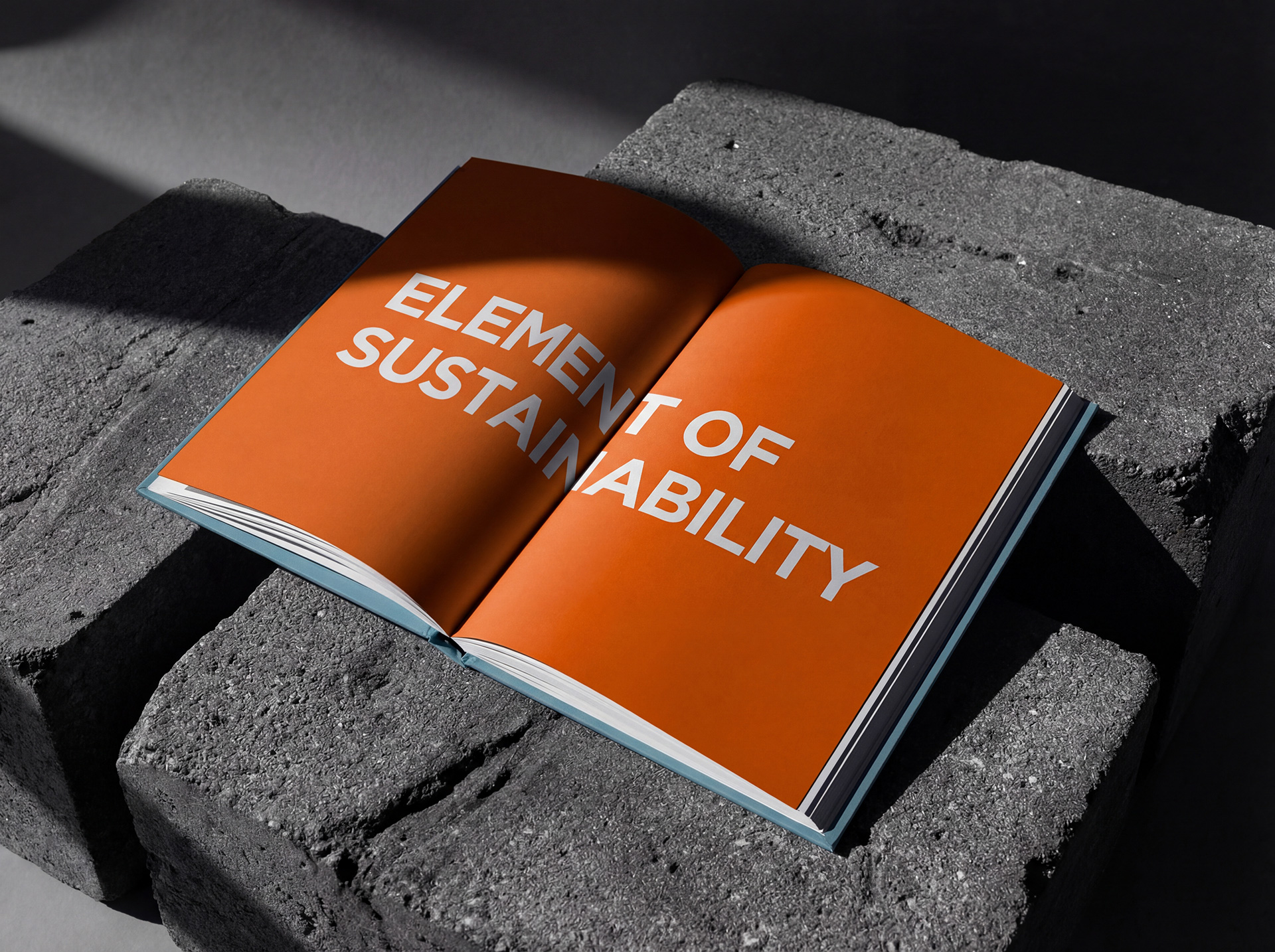 EL 6 — Изображение №9 — Брендинг на Dprofile