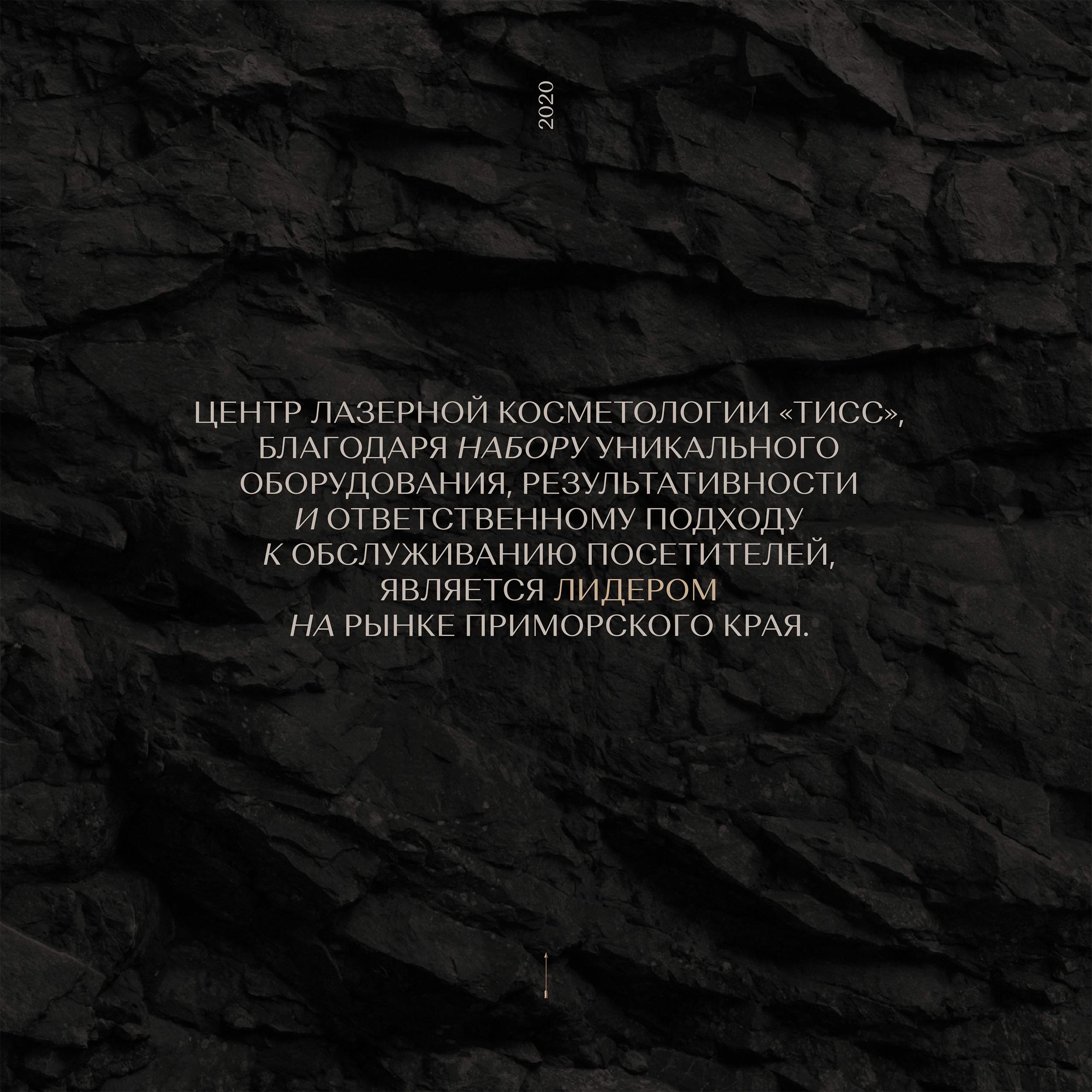 Tiss — Изображение №2 — Брендинг на Dprofile