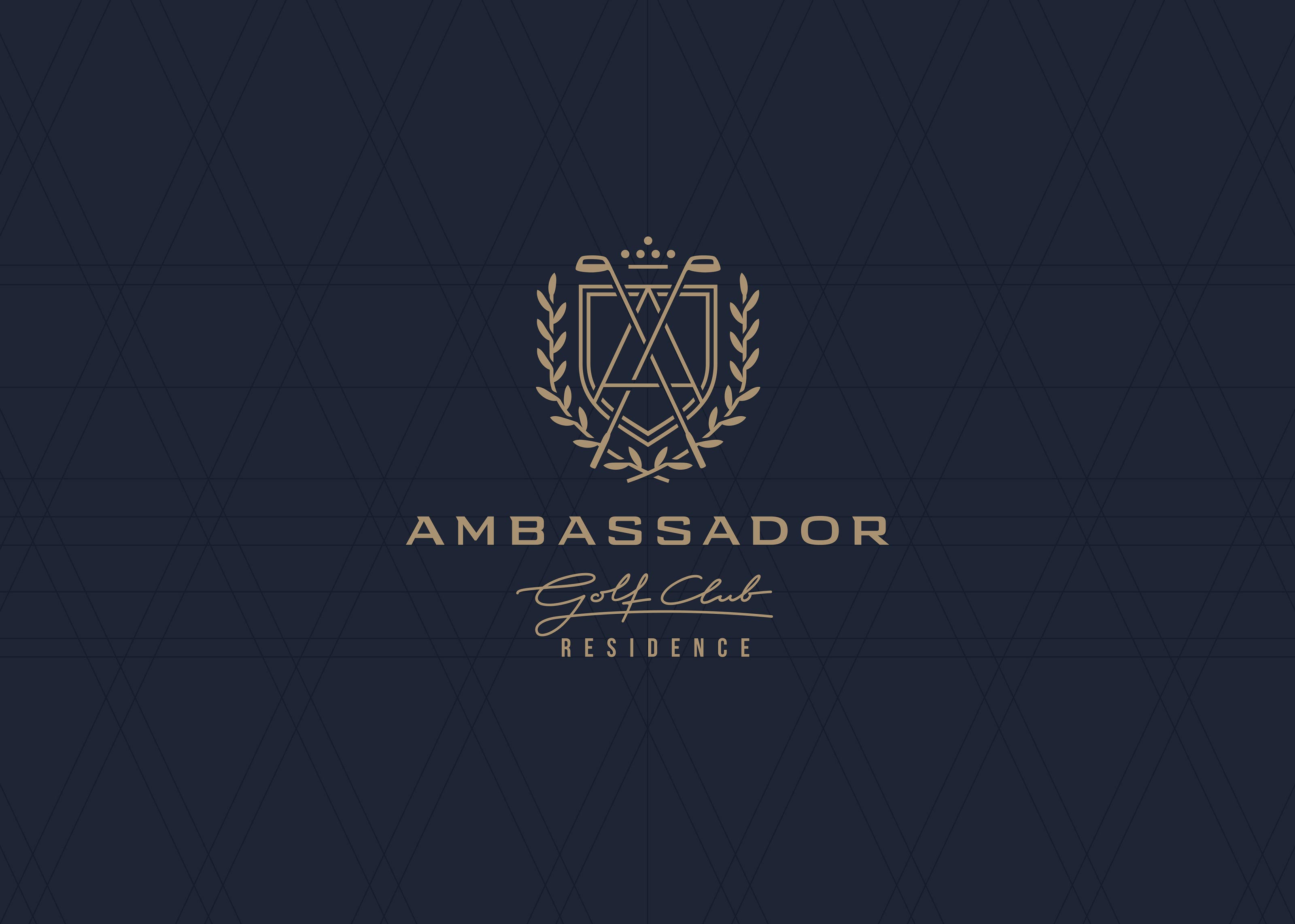 Ambassador — Изображение №7 — Брендинг на Dprofile