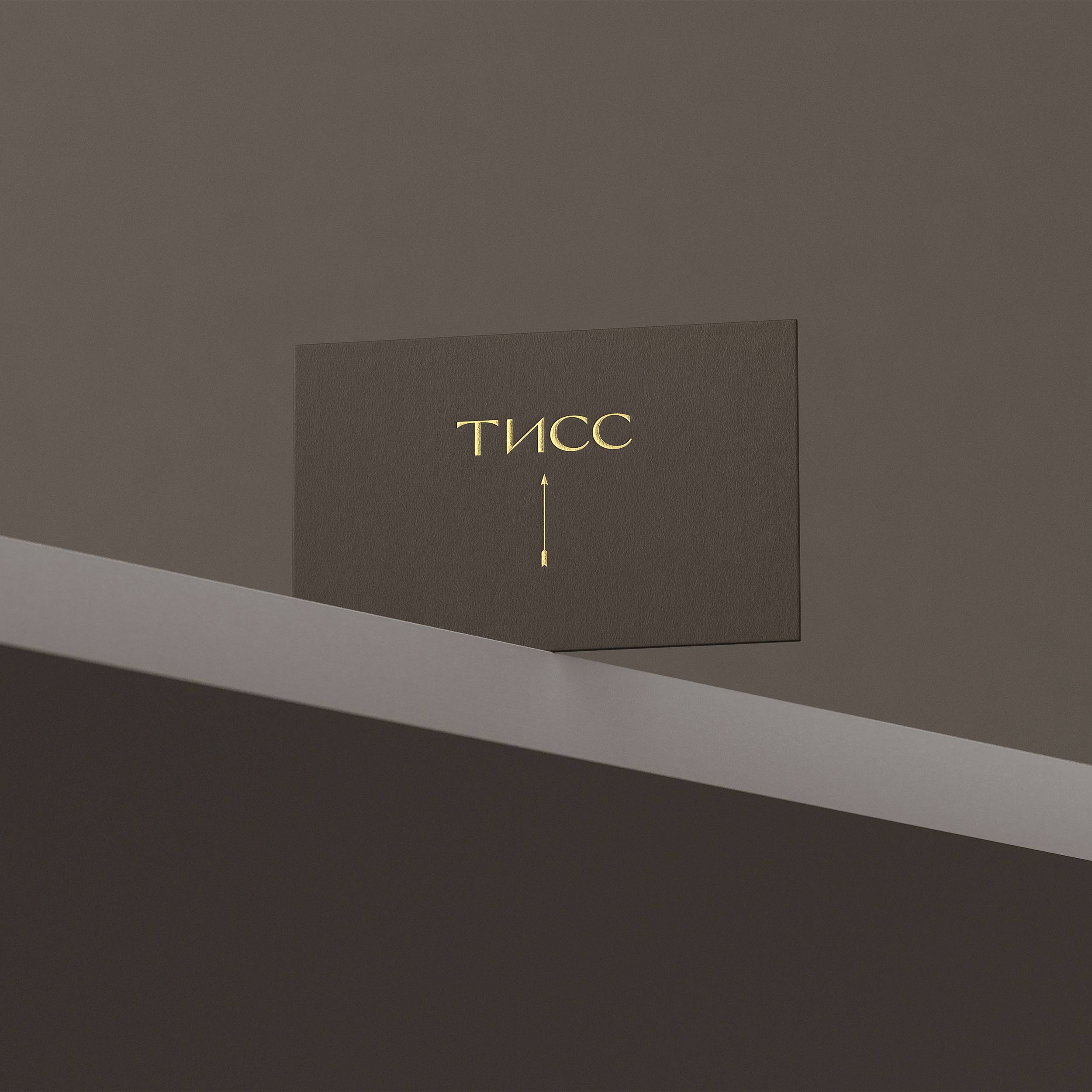 Tiss — Изображение №11 — Брендинг на Dprofile