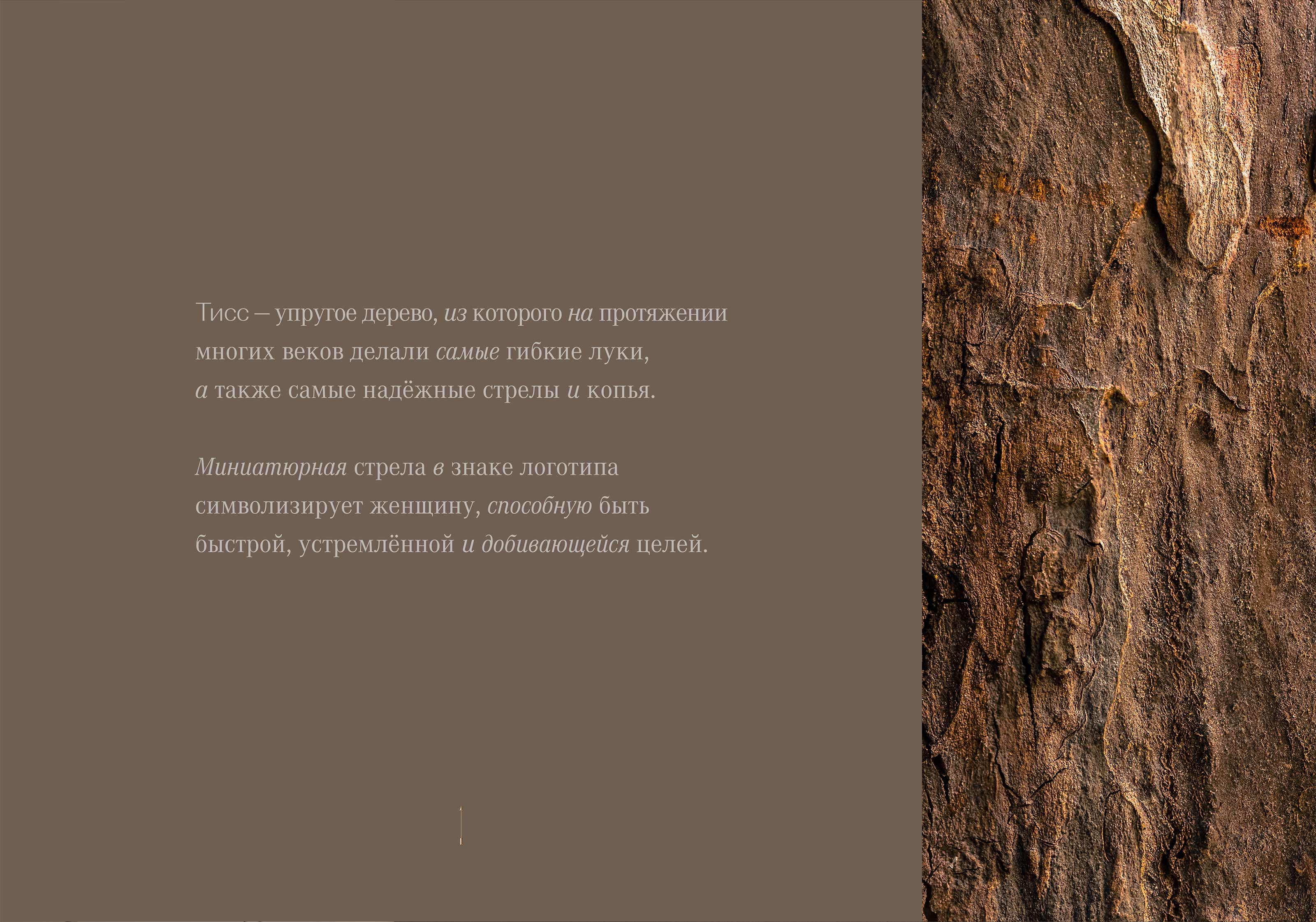 Tiss — Изображение №6 — Брендинг на Dprofile