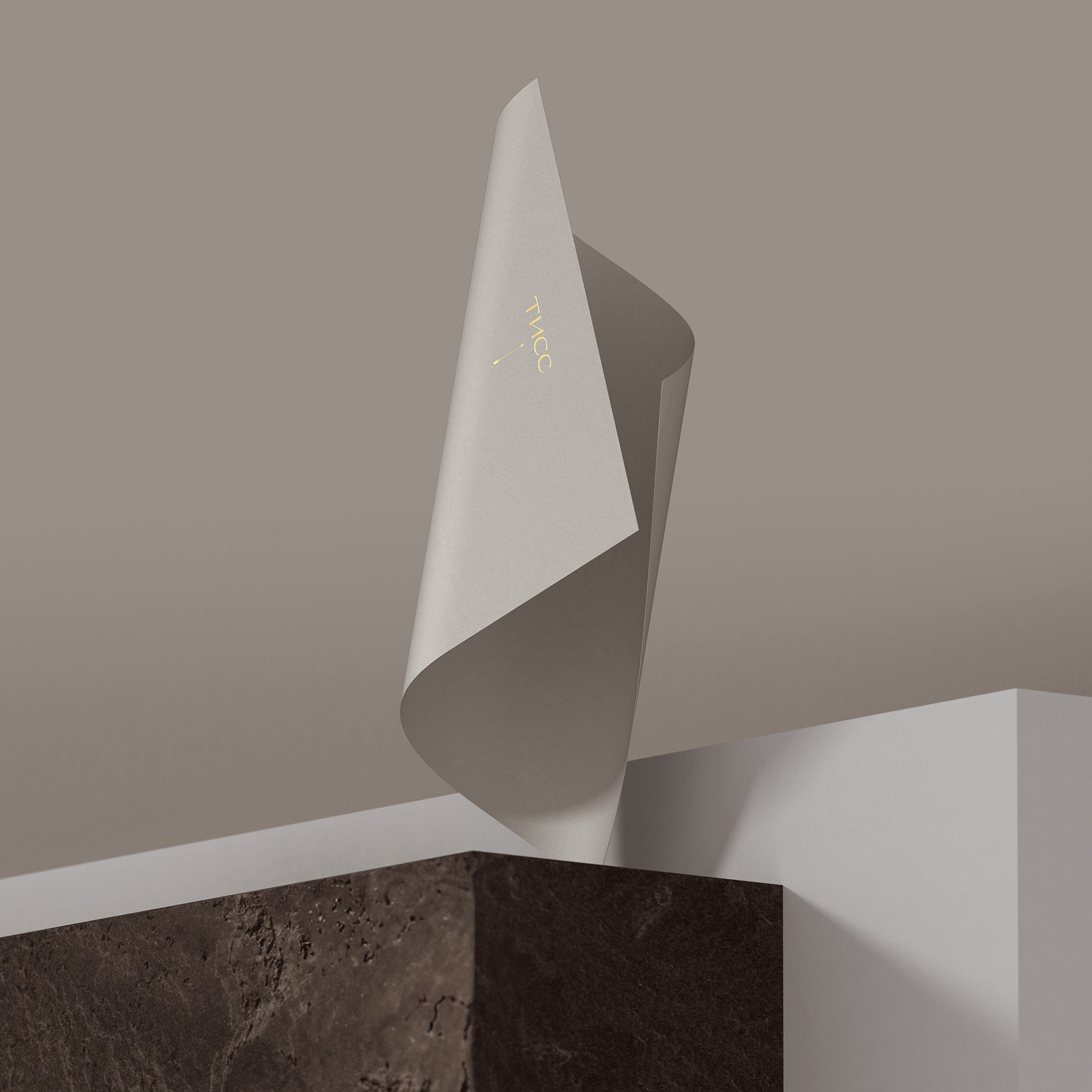 Tiss — Изображение №9 — Брендинг на Dprofile