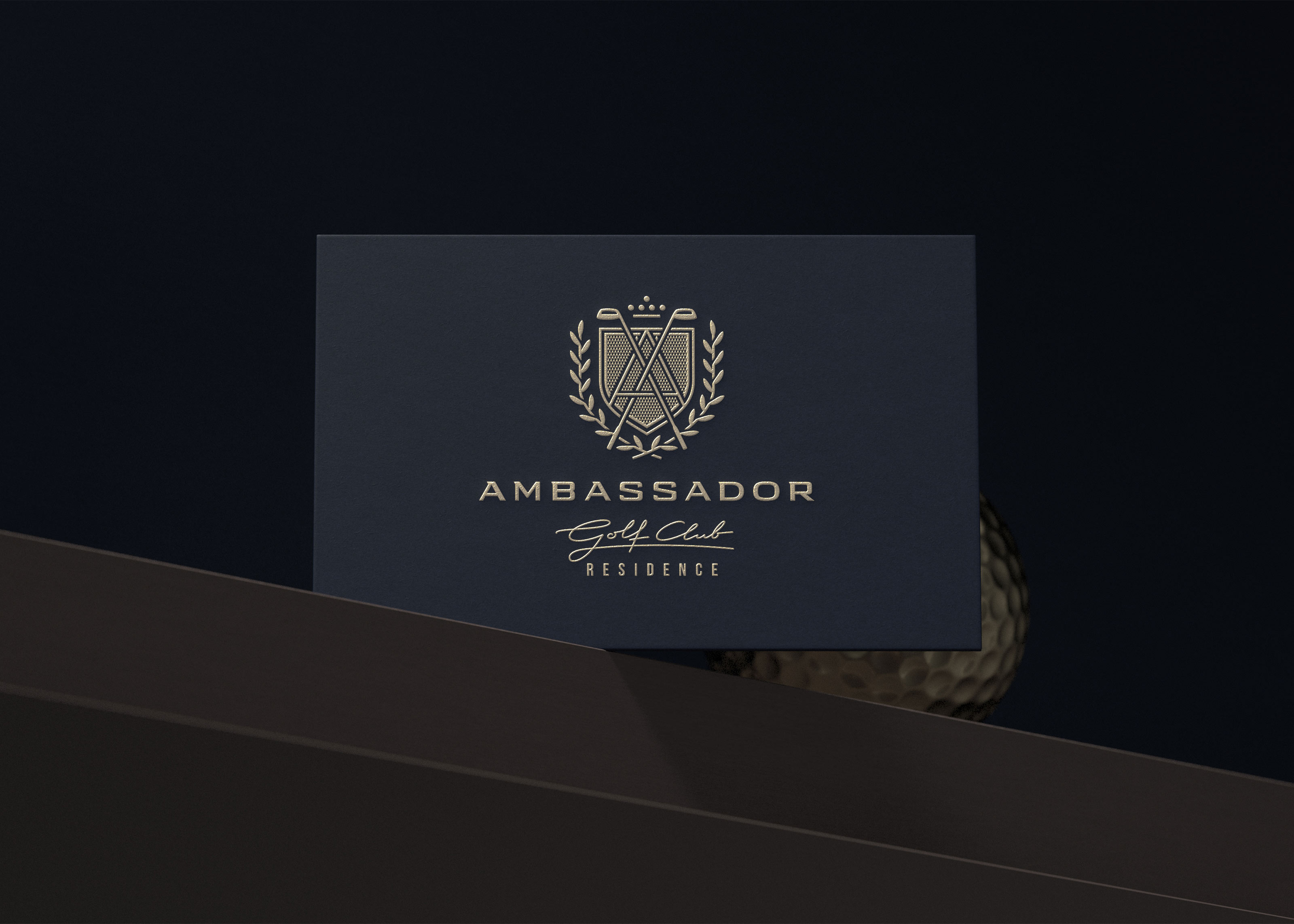 Ambassador — Изображение №17 — Брендинг на Dprofile