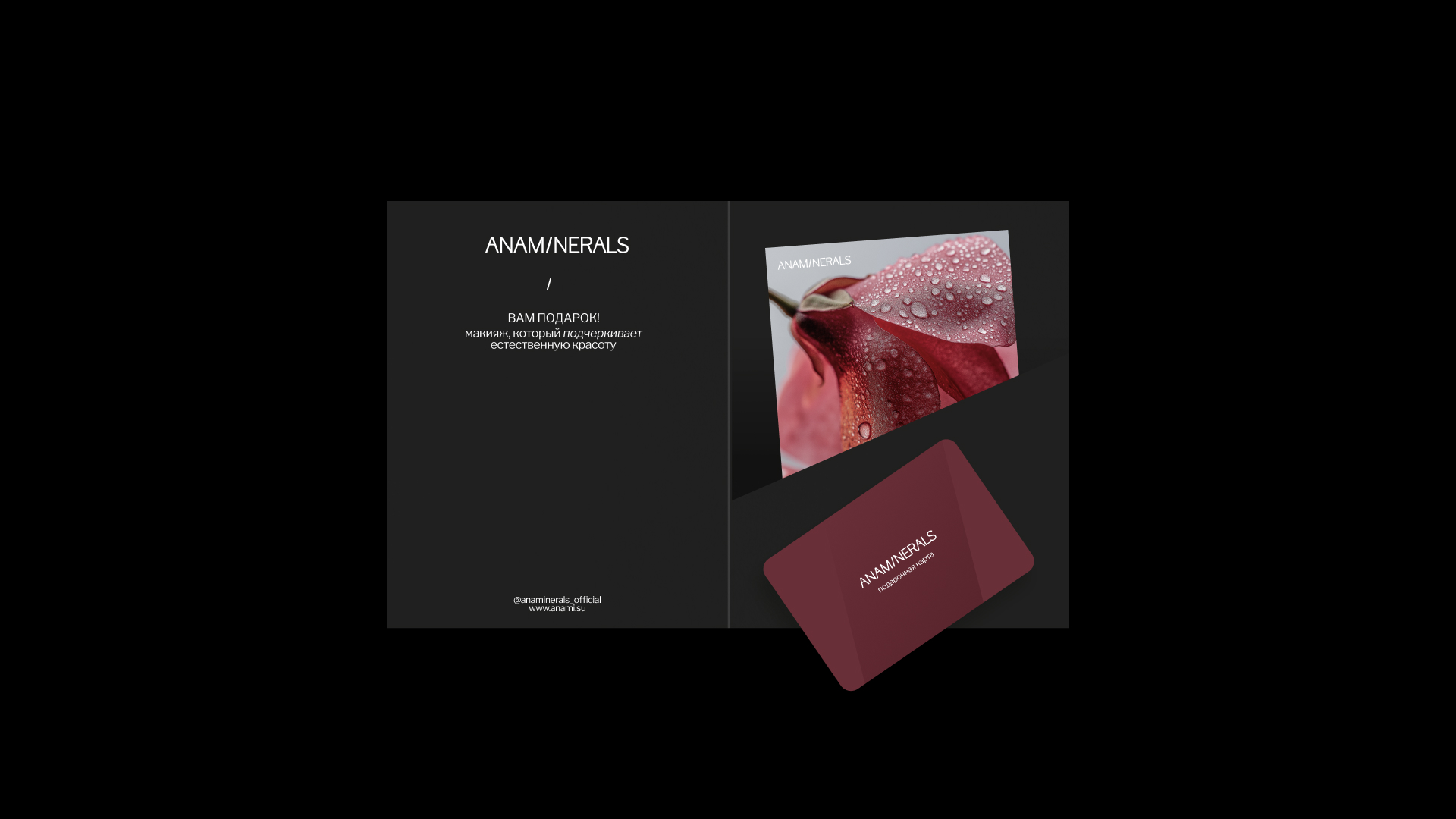 ANAMINERALS ребрендинг косметики — Изображение №11 — Брендинг на Dprofile