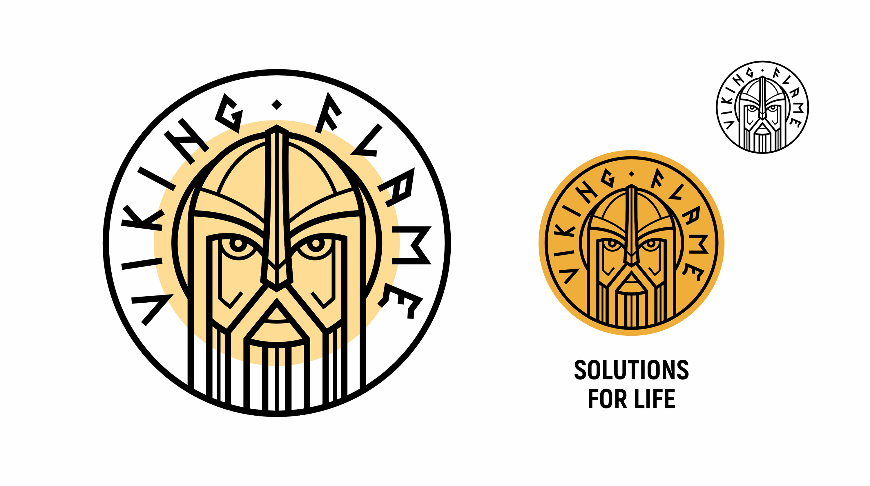 VIKING FLAME — Изображение №17 — Брендинг, Графика на Dprofile