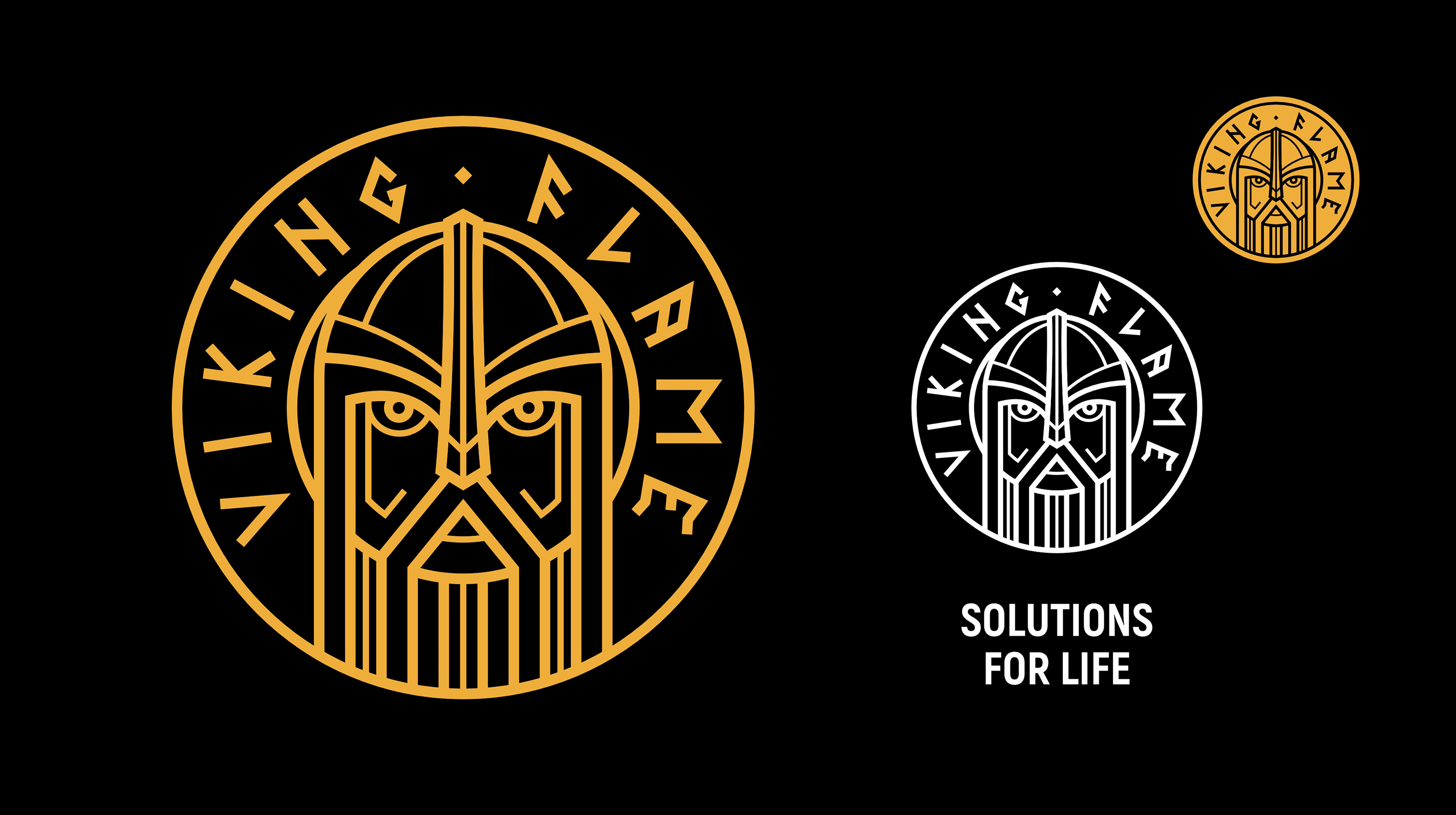 VIKING FLAME — Изображение №18 — Брендинг, Графика на Dprofile