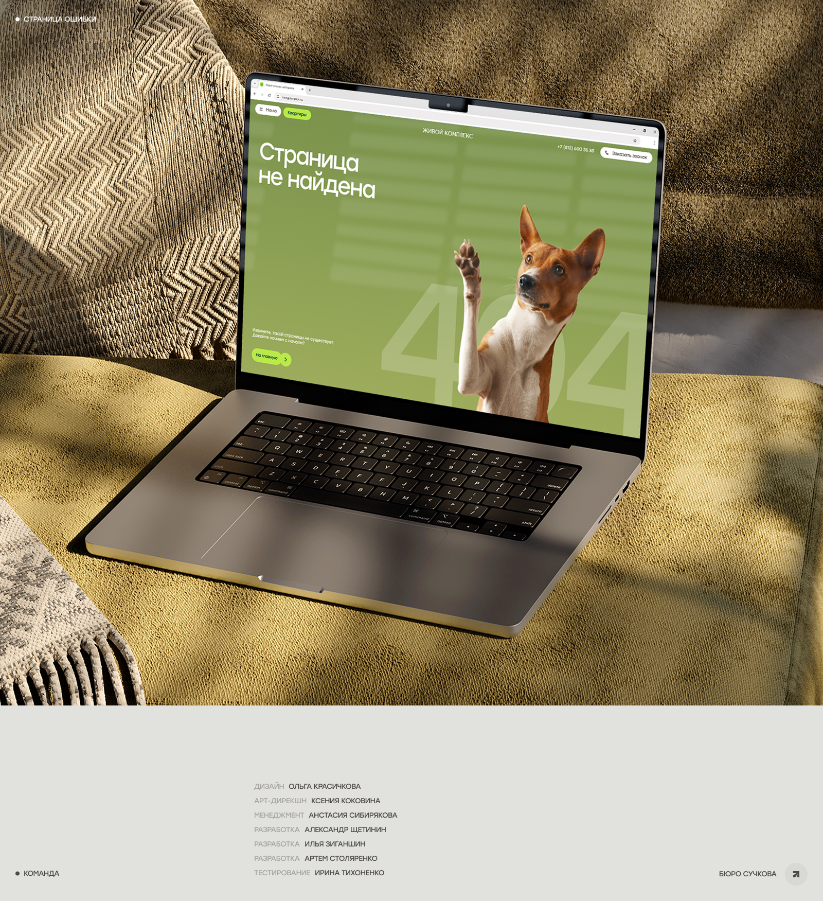 Живой Комплекс на Кузьмихе | разработка сайта ЖК — Изображение №10 — Интерфейсы на Dprofile