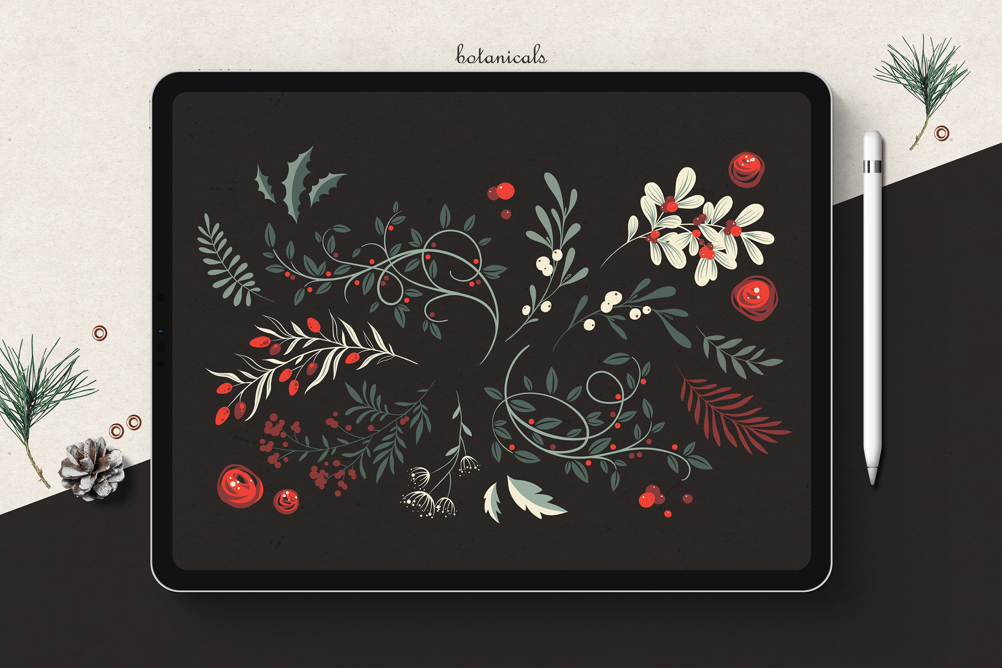 Winter Foliage // Коллекция зимнего клипарта — Изображение №2 — Иллюстрация, Графика на Dprofile