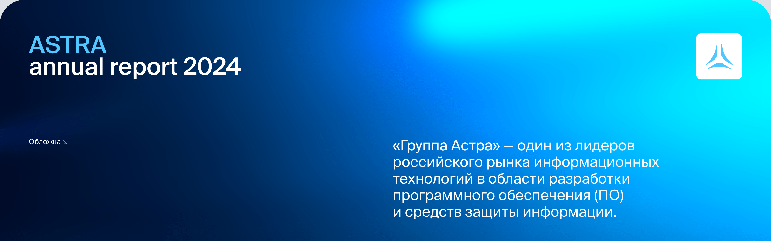 Астра. Годовой отчёт — Изображение №1 — Графика, Маркетинг на Dprofile