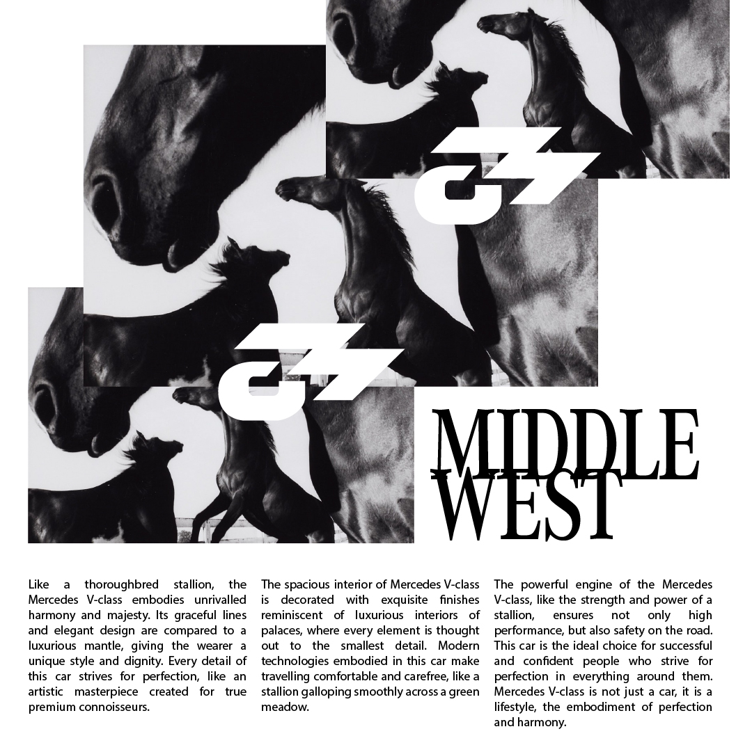 Midwest custom & Mercedes — Изображение №10 — Брендинг на Dprofile