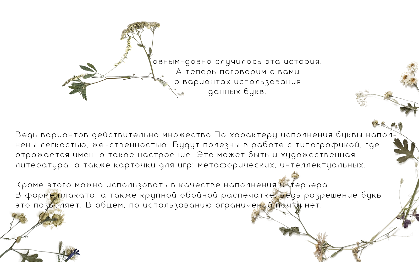 Алфавит из сухоцветов — Изображение №9 — Иллюстрация, Графика на Dprofile