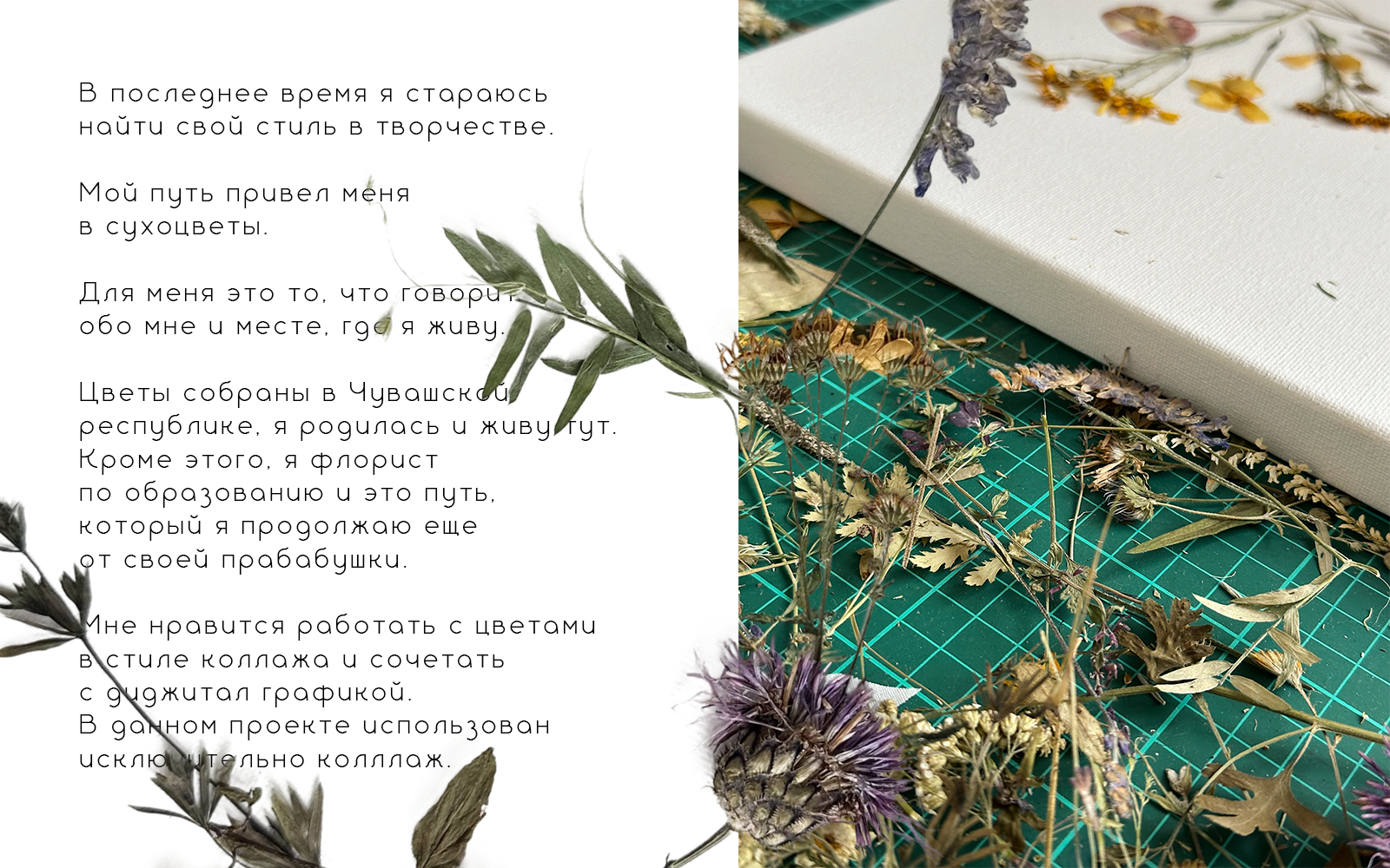 Алфавит из сухоцветов — Изображение №1 — Иллюстрация, Графика на Dprofile