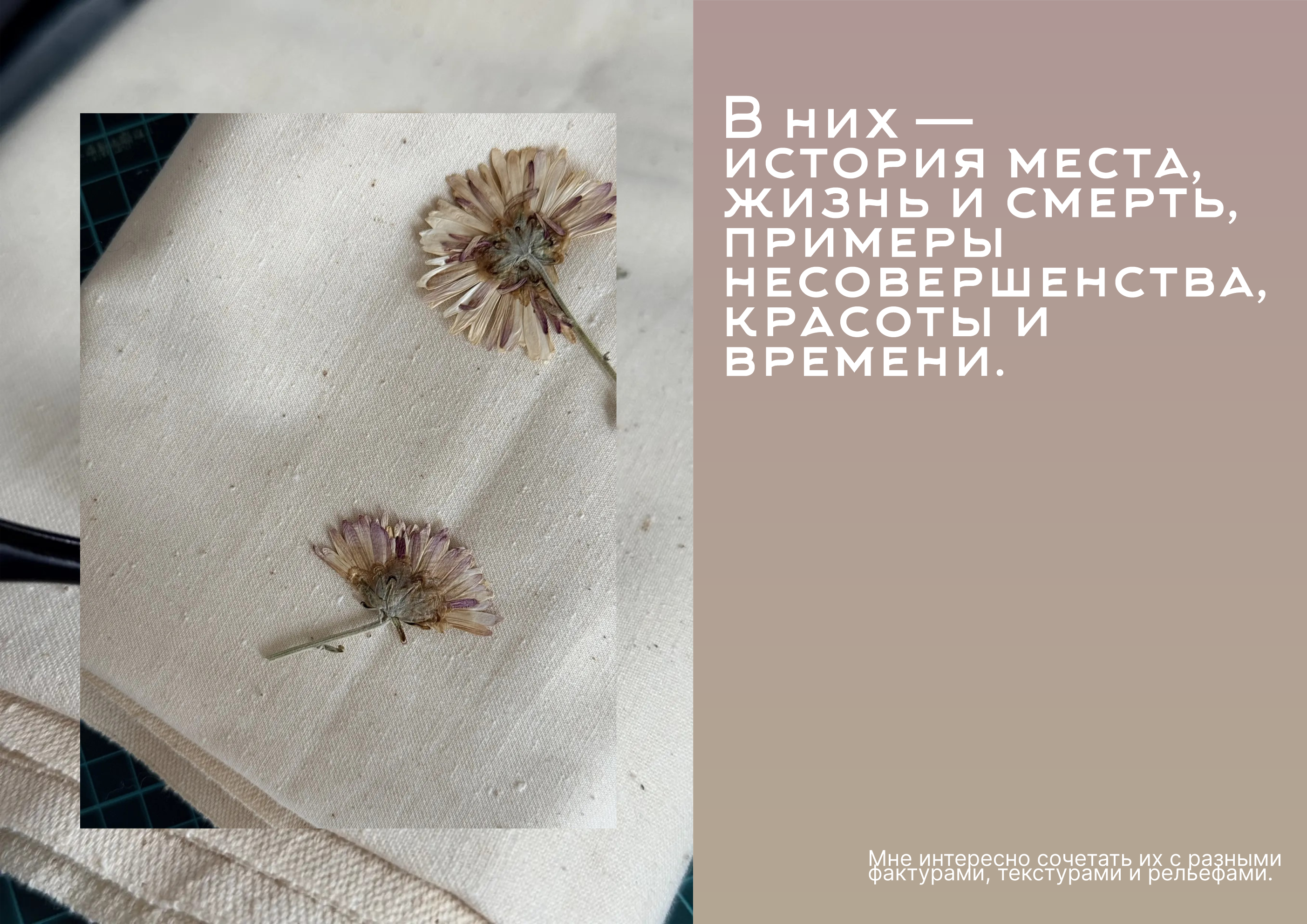 Паттерн сухоцветы и акварель — Изображение №2 — Графика на Dprofile
