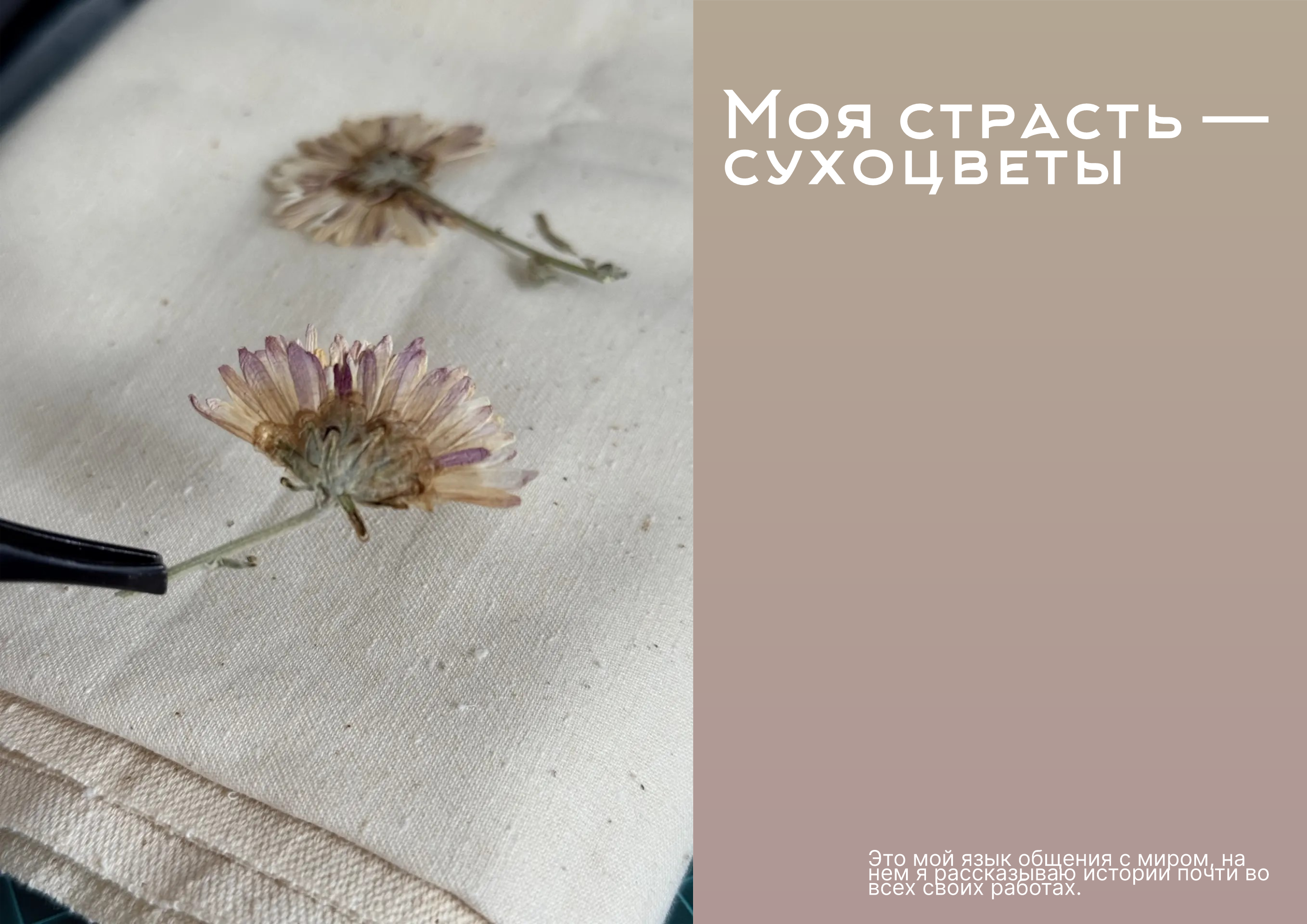 Паттерн сухоцветы и акварель — Изображение №1 — Графика на Dprofile
