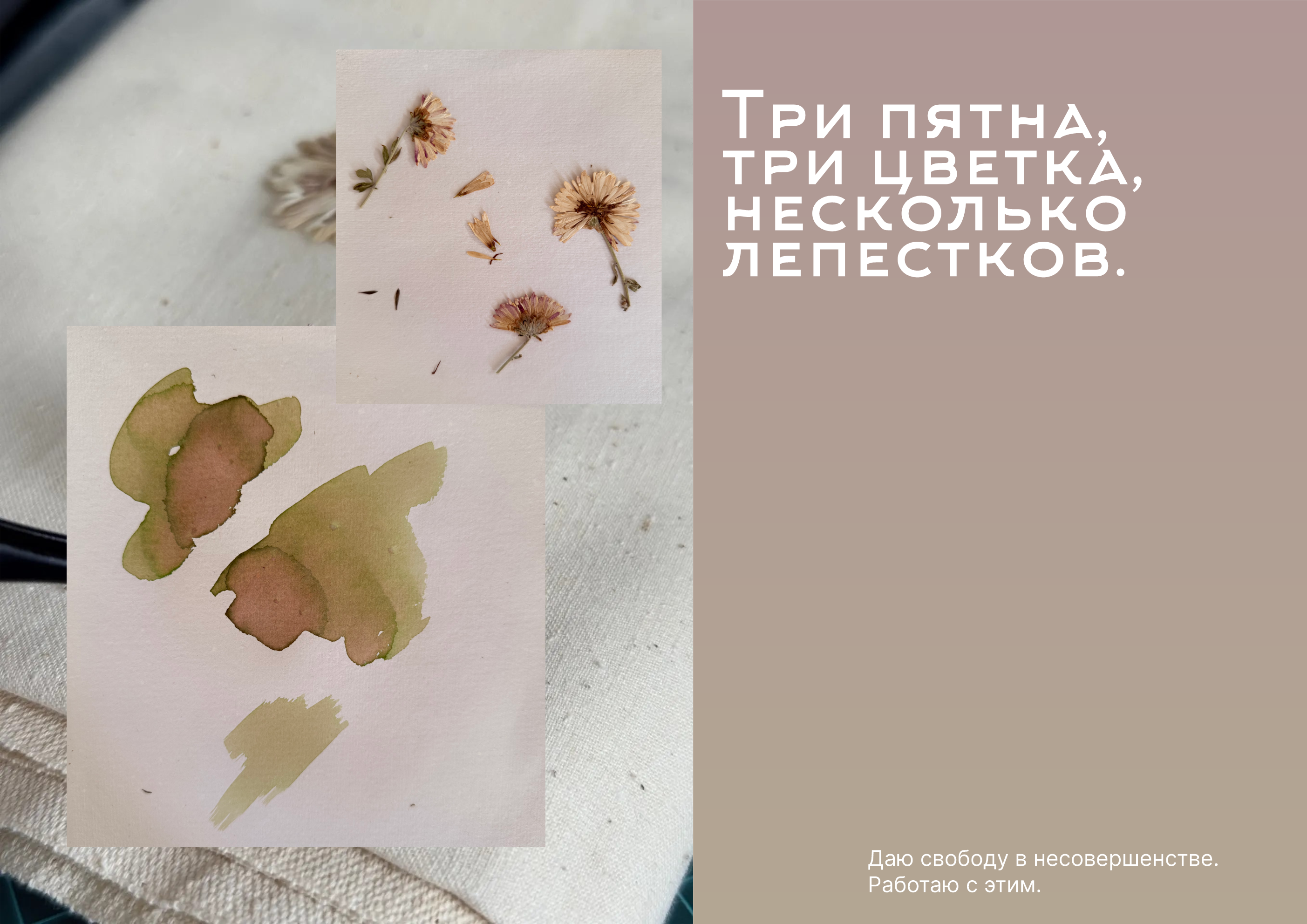 Паттерн сухоцветы и акварель — Изображение №4 — Графика на Dprofile