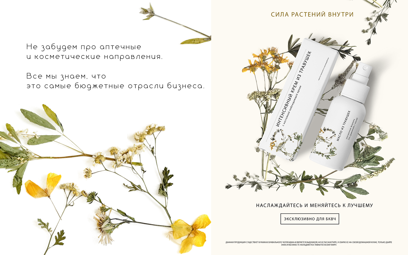 Алфавит из сухоцветов — Изображение №18 — Иллюстрация, Графика на Dprofile