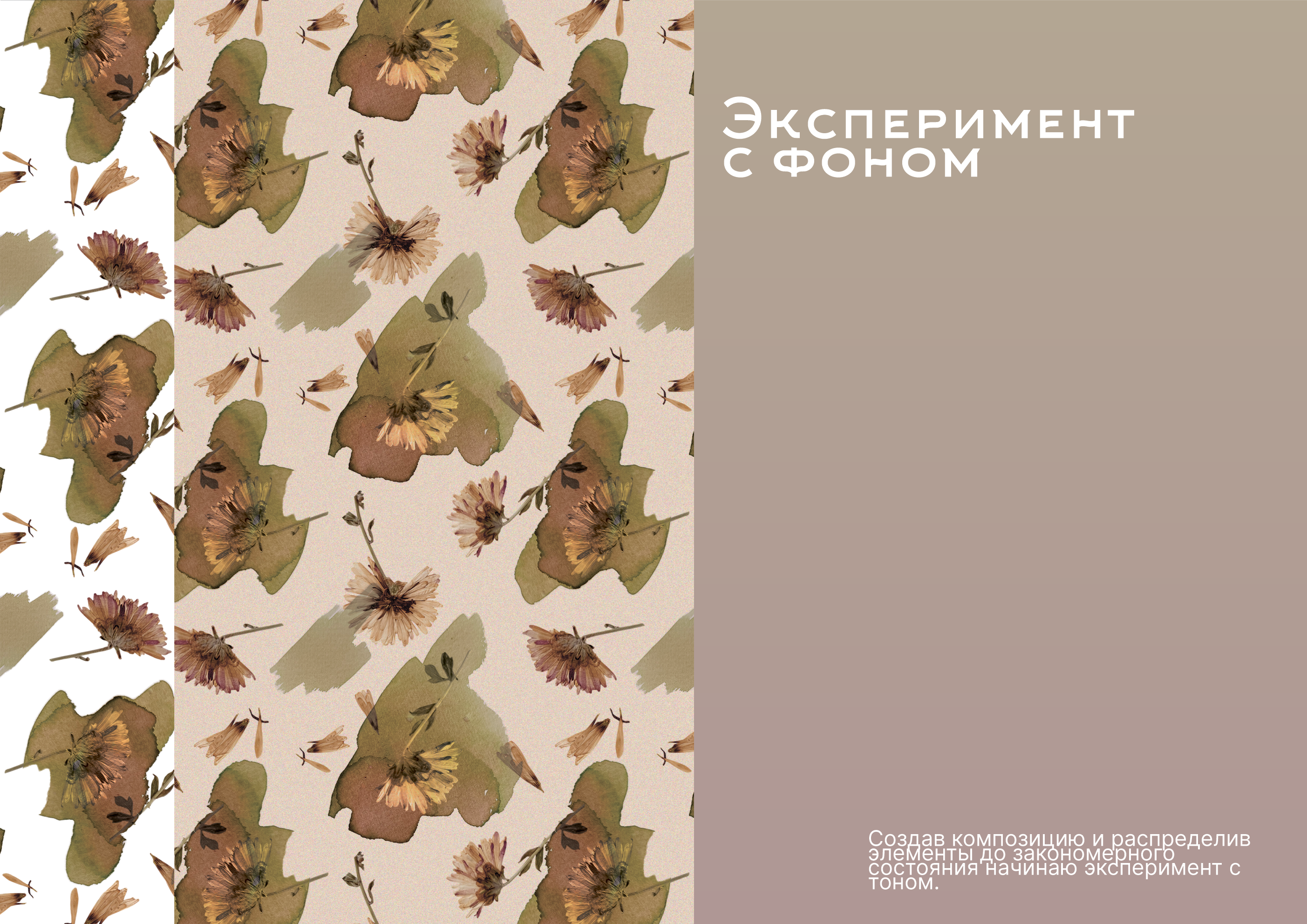 Паттерн сухоцветы и акварель — Изображение №5 — Графика на Dprofile