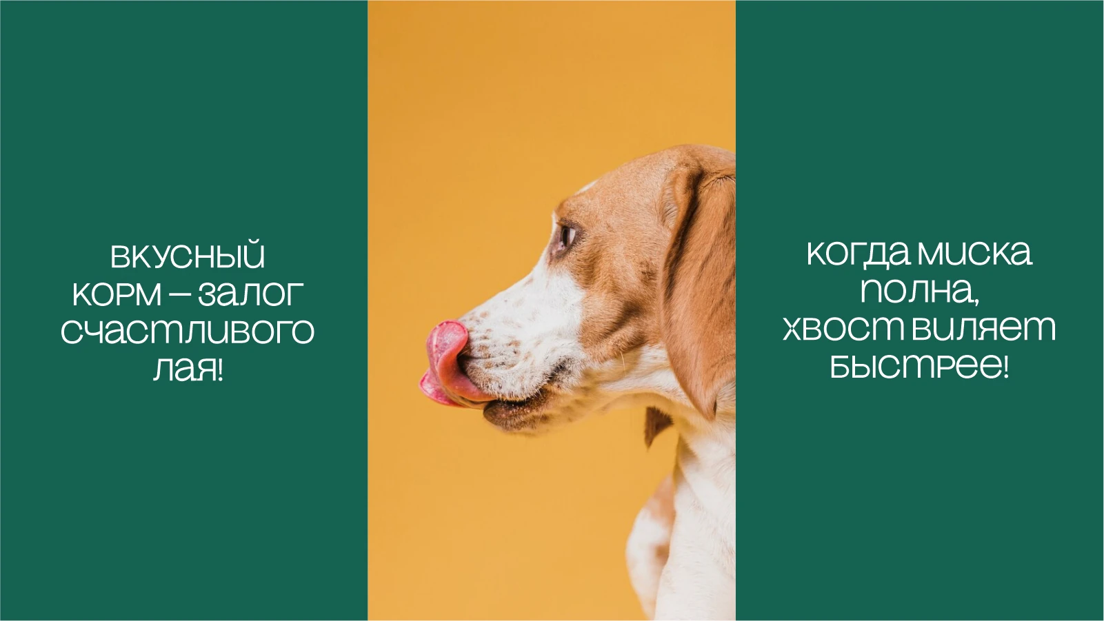 брендинг и УПАКОВКА КОРМА ДЛЯ СОБАК — Изображение №10 — Брендинг на Dprofile