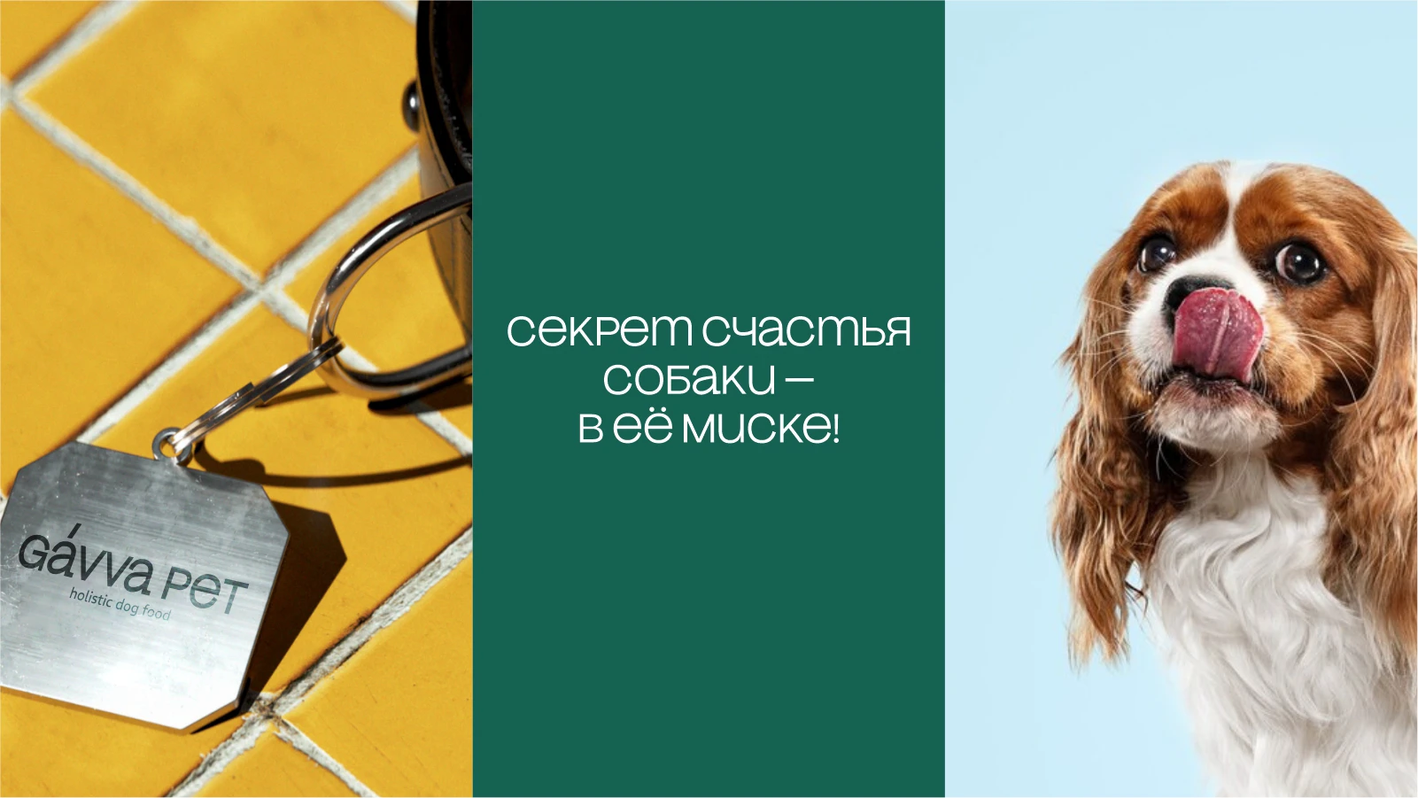 брендинг и УПАКОВКА КОРМА ДЛЯ СОБАК — Изображение №9 — Брендинг на Dprofile
