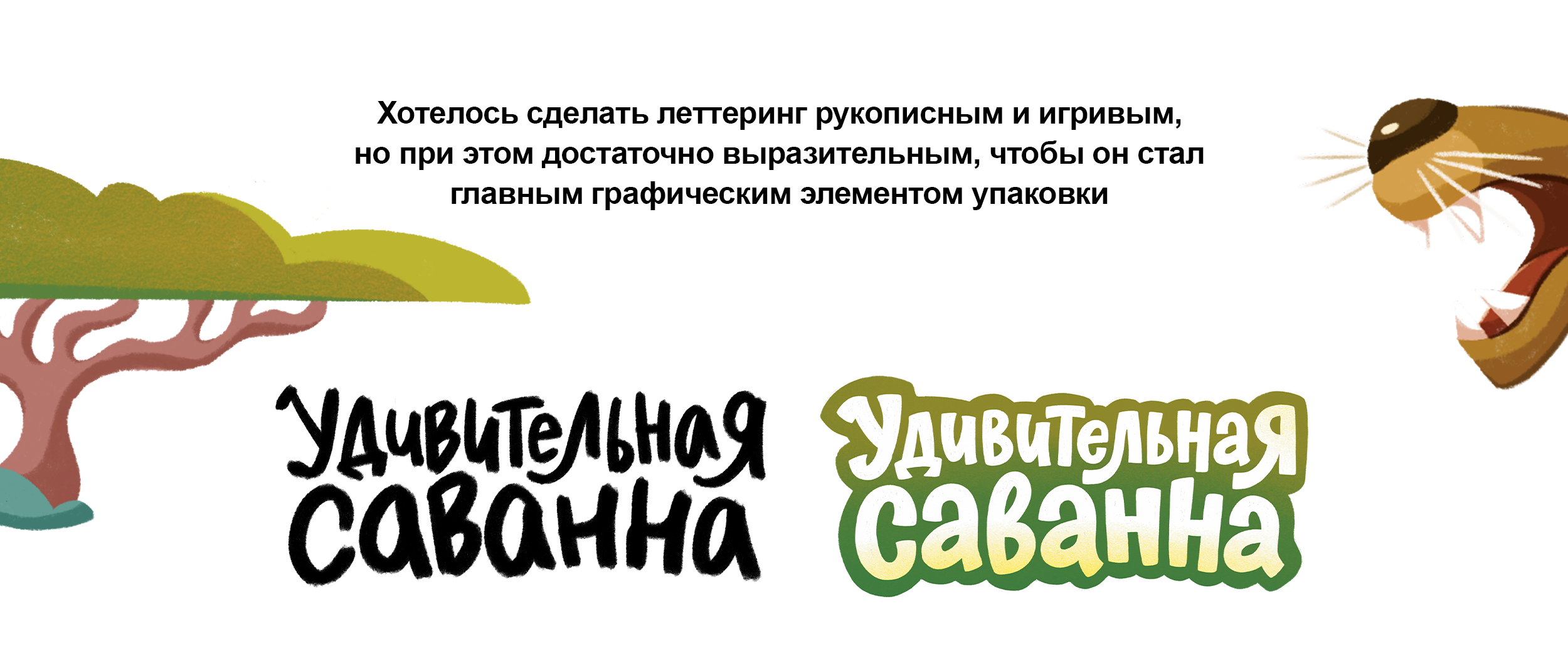 Детская настольная игра с животными Африки | Иллюстрация и дизайн упаковки — Изображение №9 — Брендинг, Иллюстрация на Dprofile