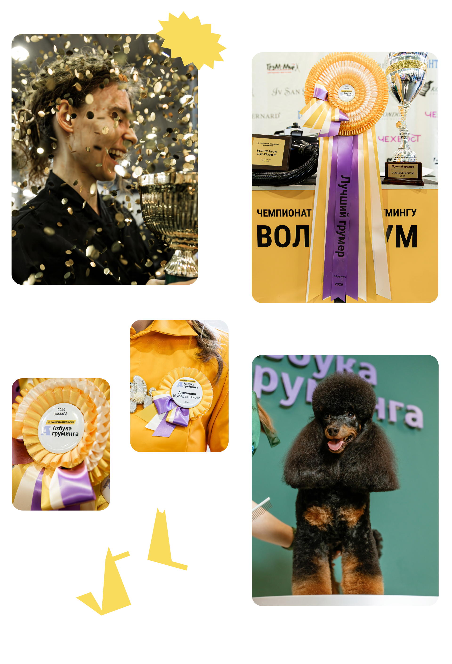 Азбука груминга | Фирменный стиль для школы груминга — Изображение №12 — Брендинг, Графика на Dprofile