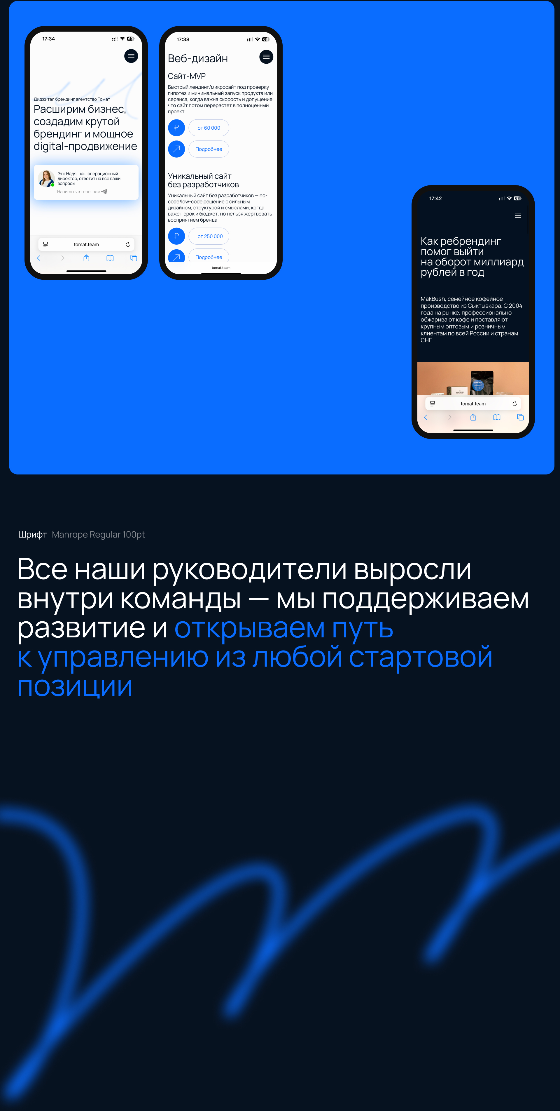 Томат 2026 — Изображение №5 — Брендинг, Графика на Dprofile