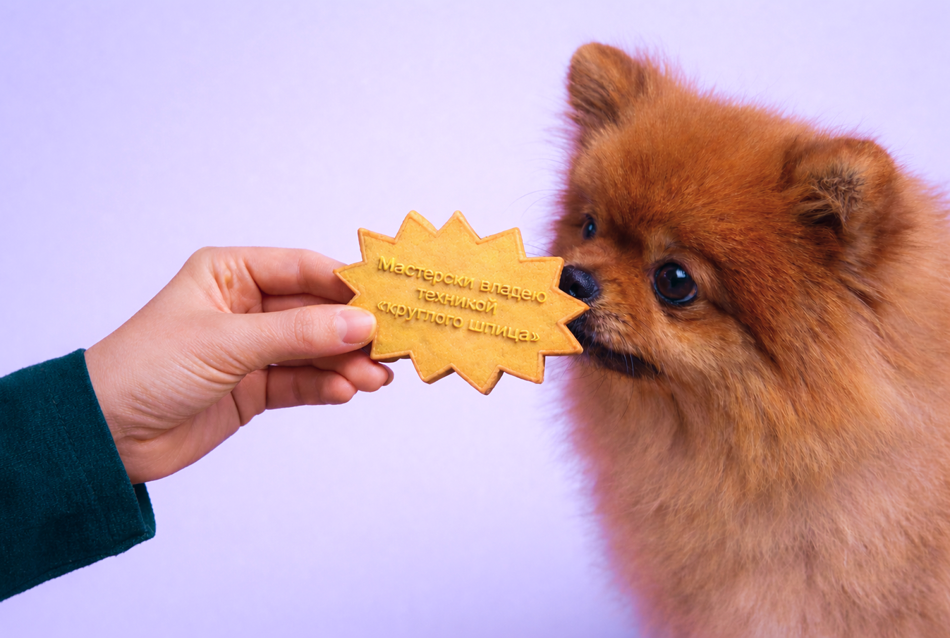 Азбука груминга | Фирменный стиль для школы груминга — Изображение №22 — Брендинг, Графика на Dprofile