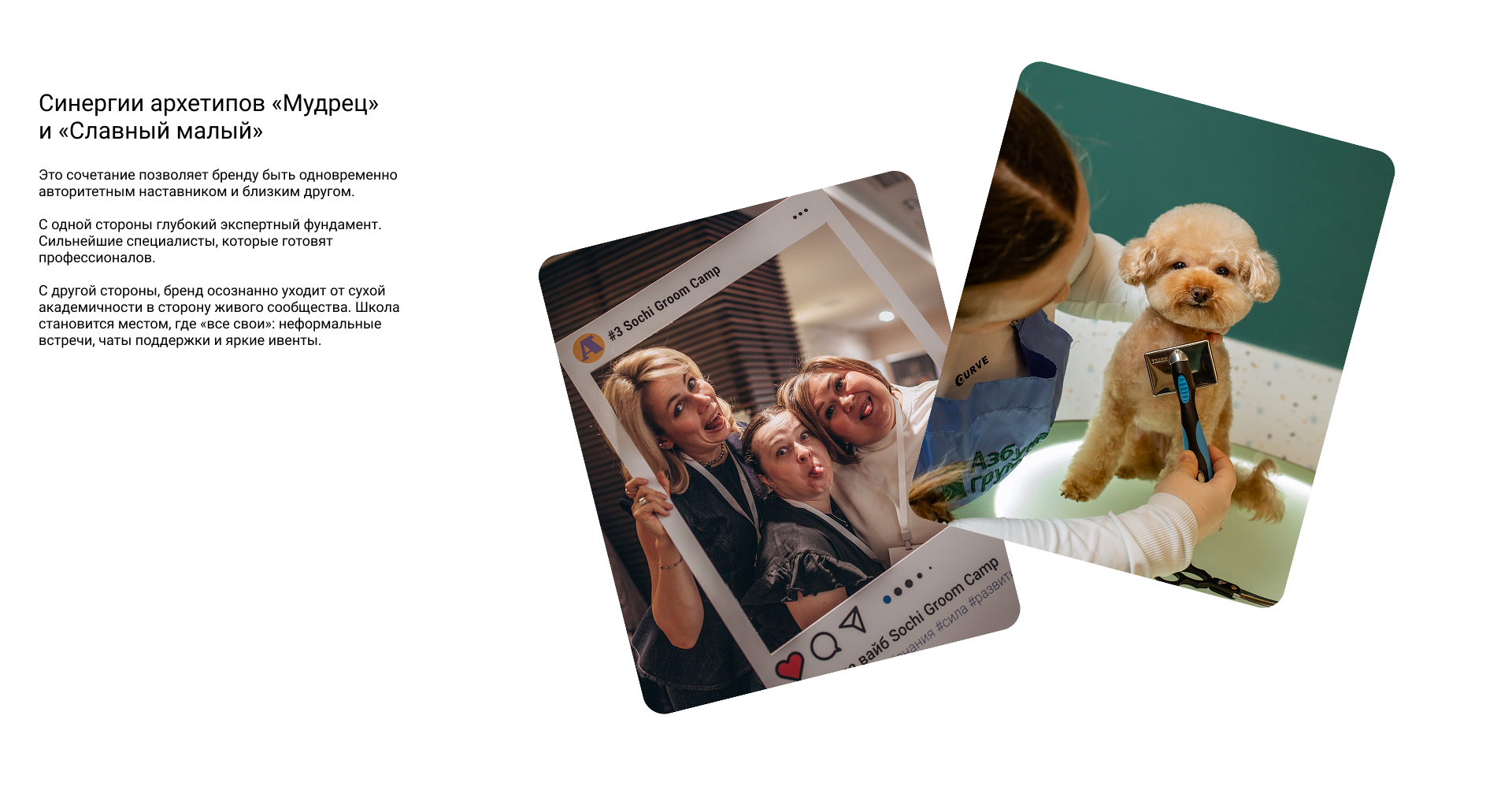 Азбука груминга | Фирменный стиль для школы груминга — Изображение №6 — Брендинг, Графика на Dprofile