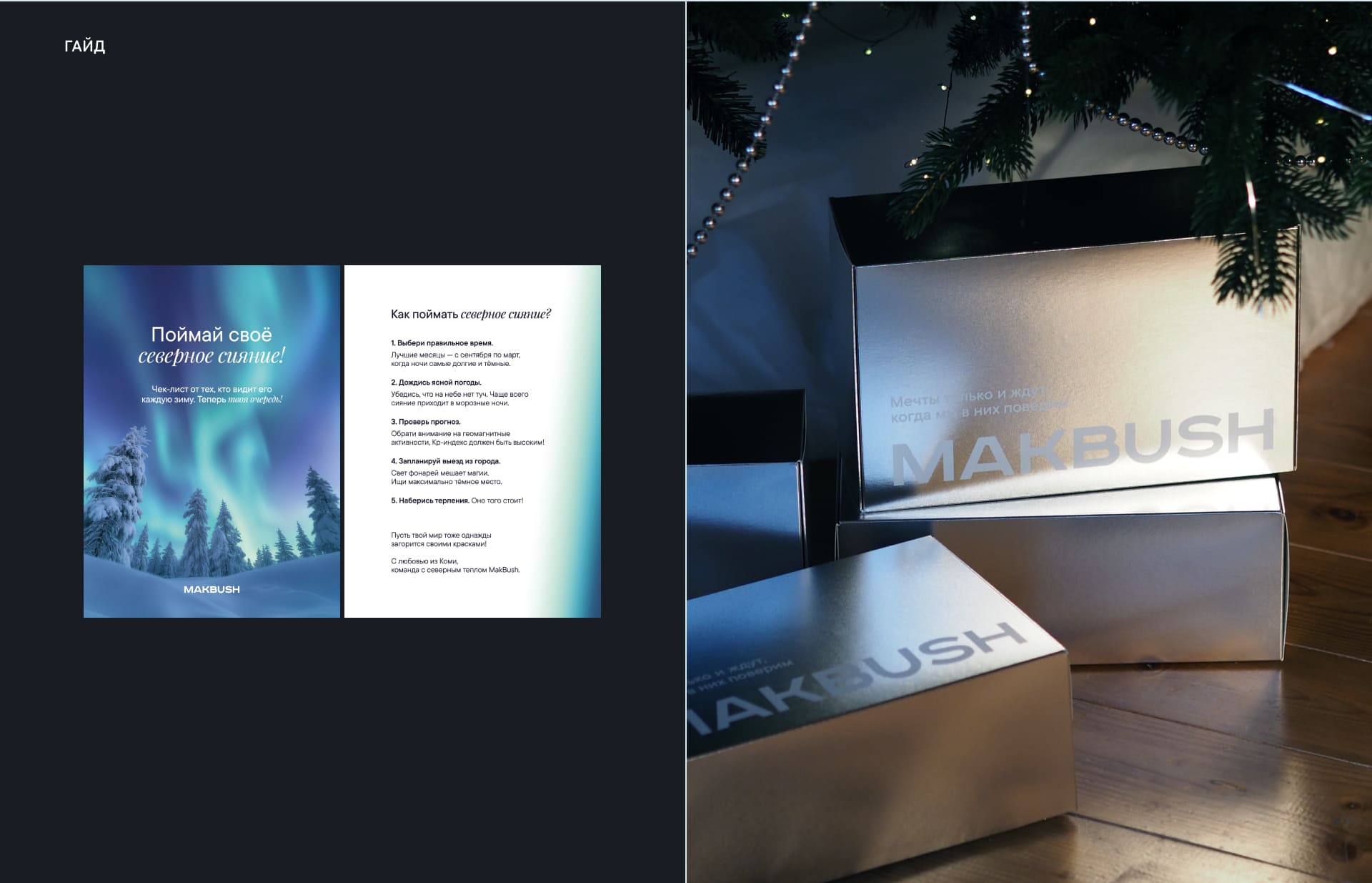 MAKBUSH | Новогодний бокс — Изображение №15 — Брендинг, Графика на Dprofile